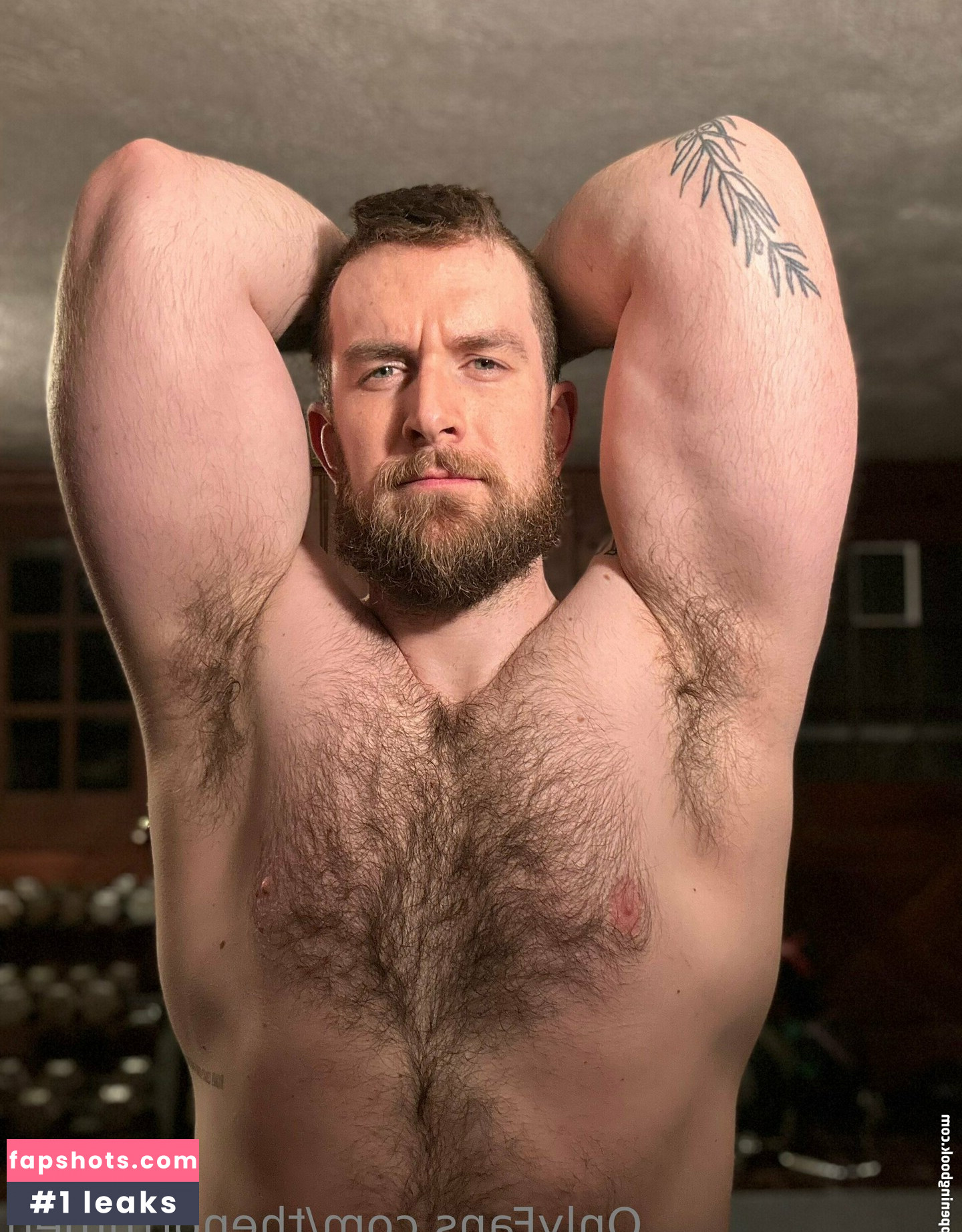 thenorthmen gallery photo #41