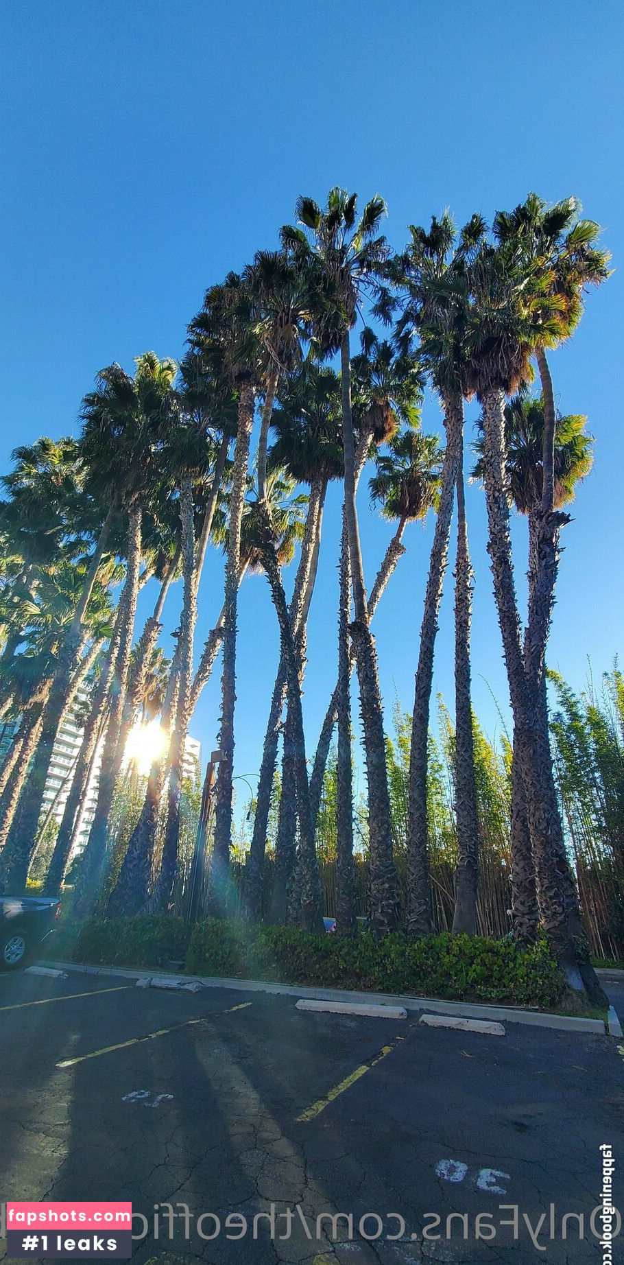 theofficialraybaby gallery photo #10