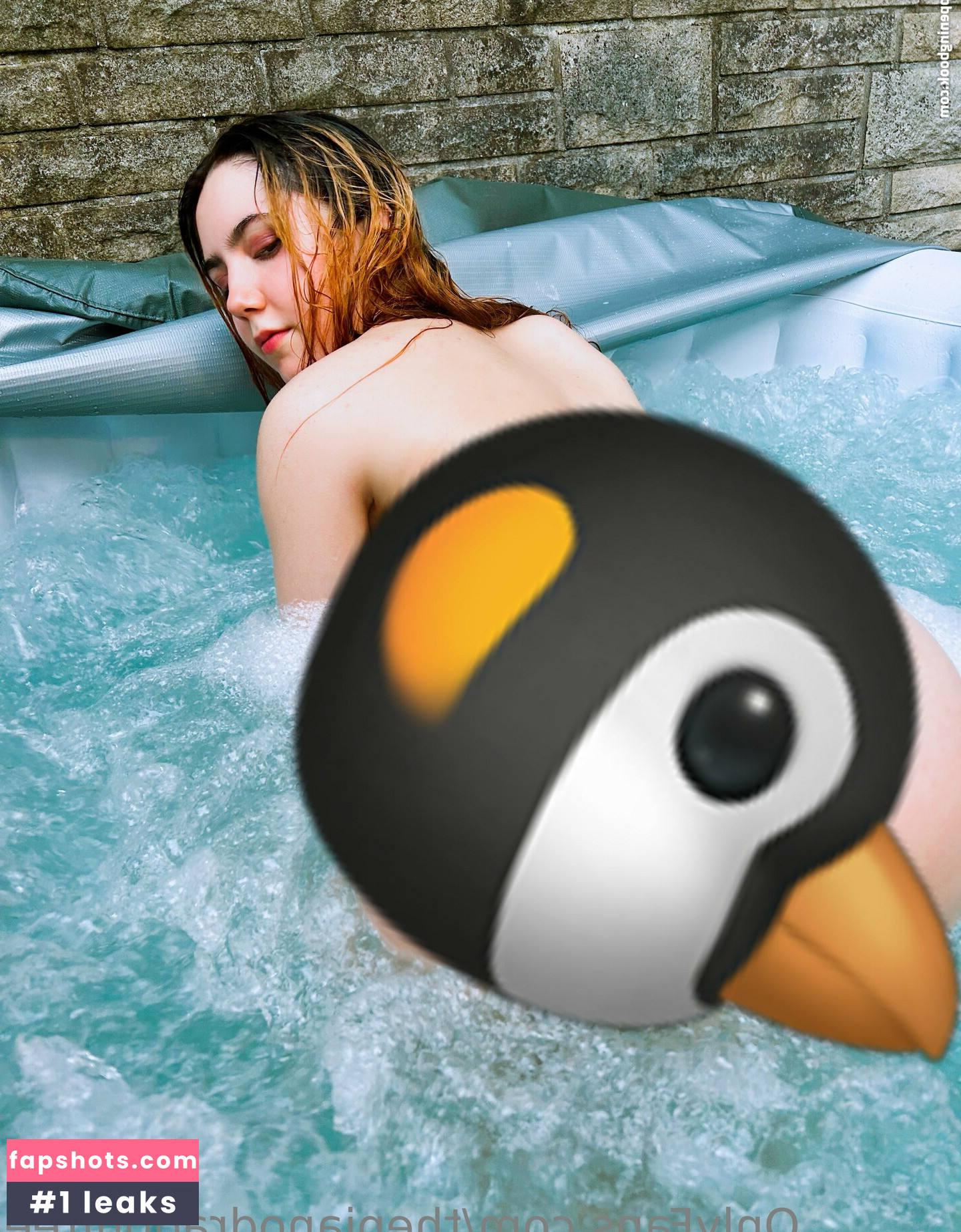 thepianodragonfree gallery photo #25