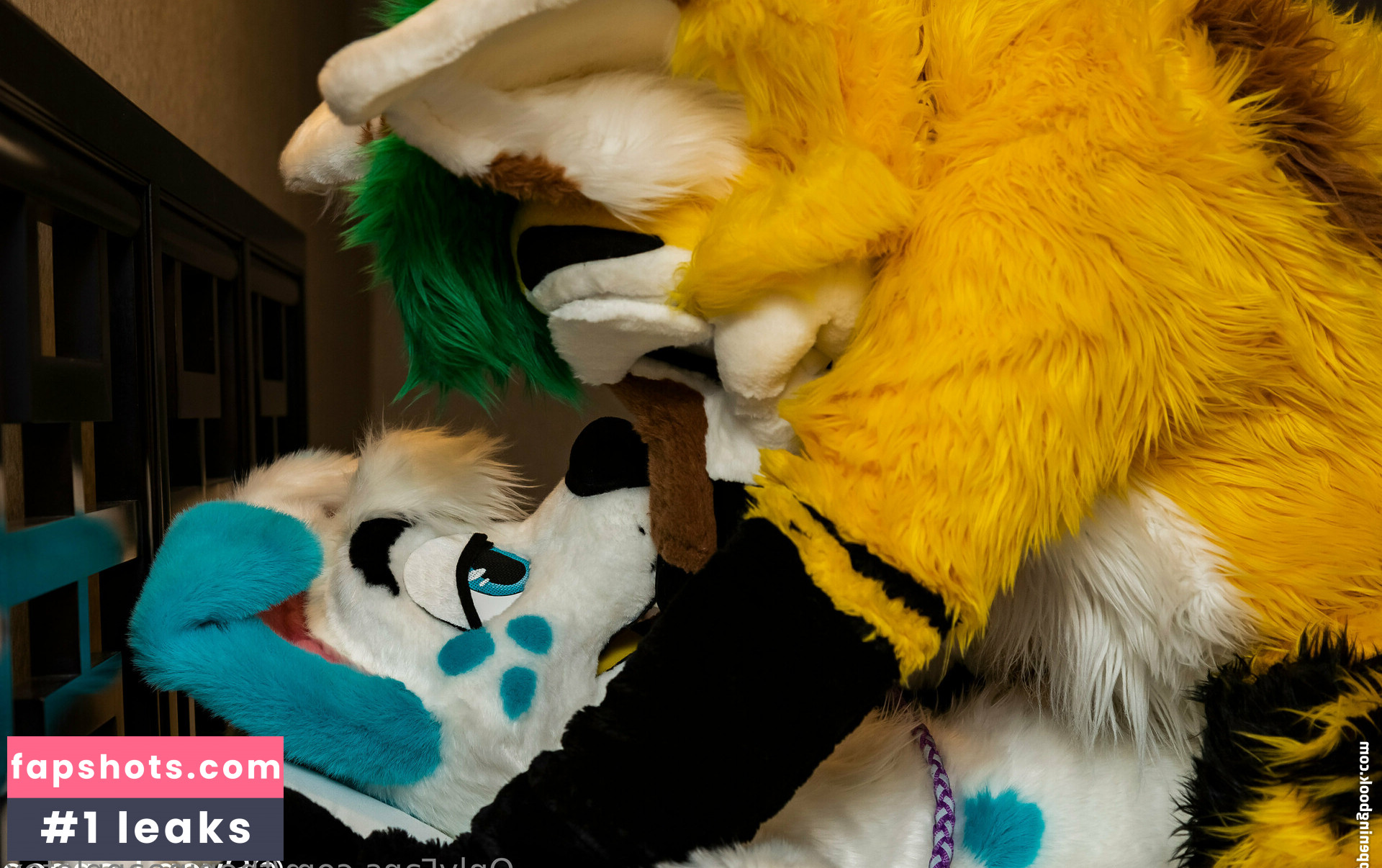 thepineapplefox gallery photo #29