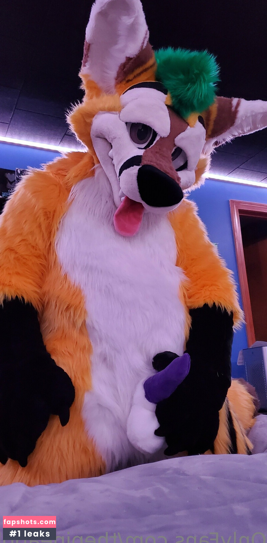 thepineapplefox gallery photo #4