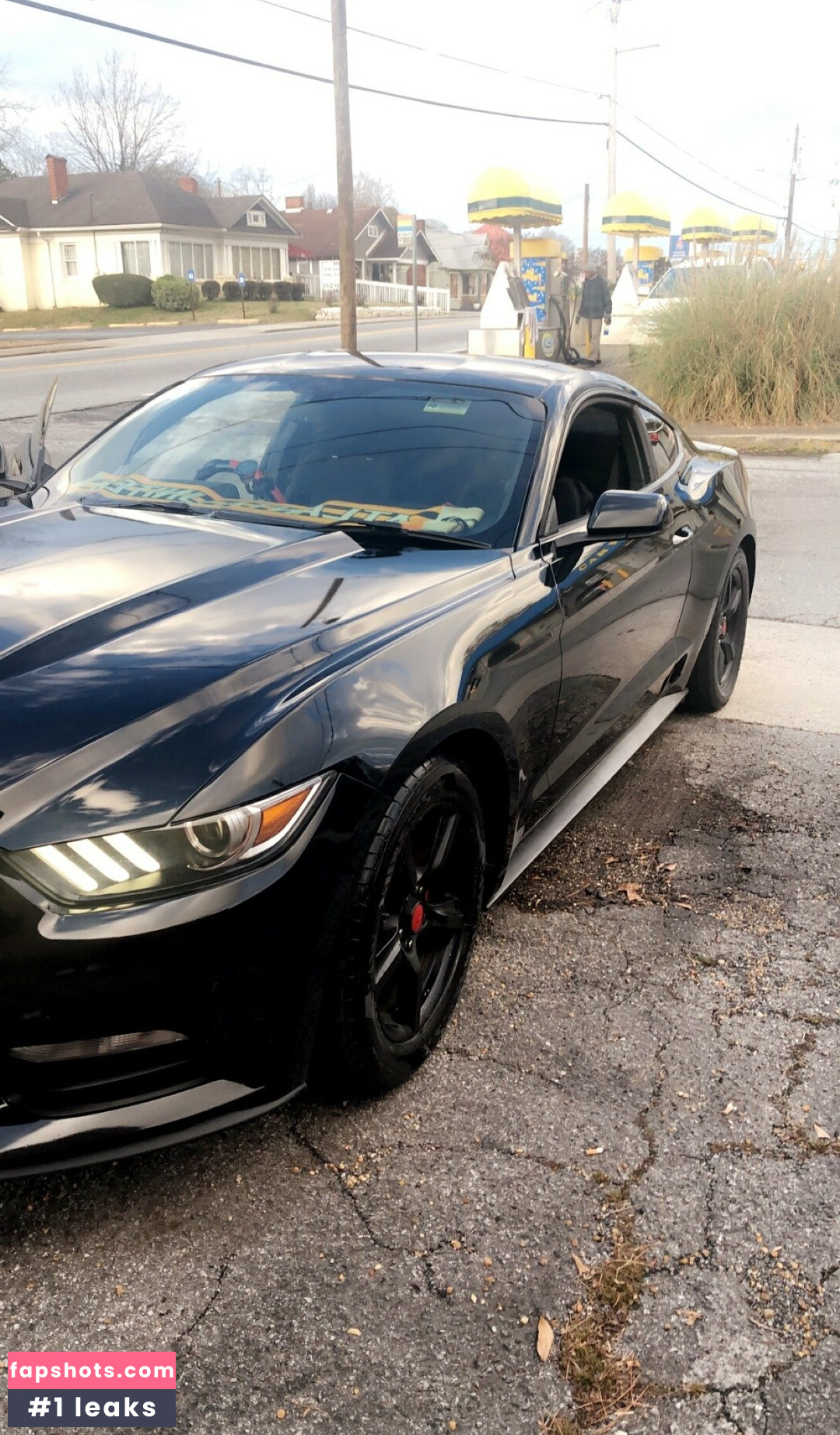 thepornbox gallery photo #19