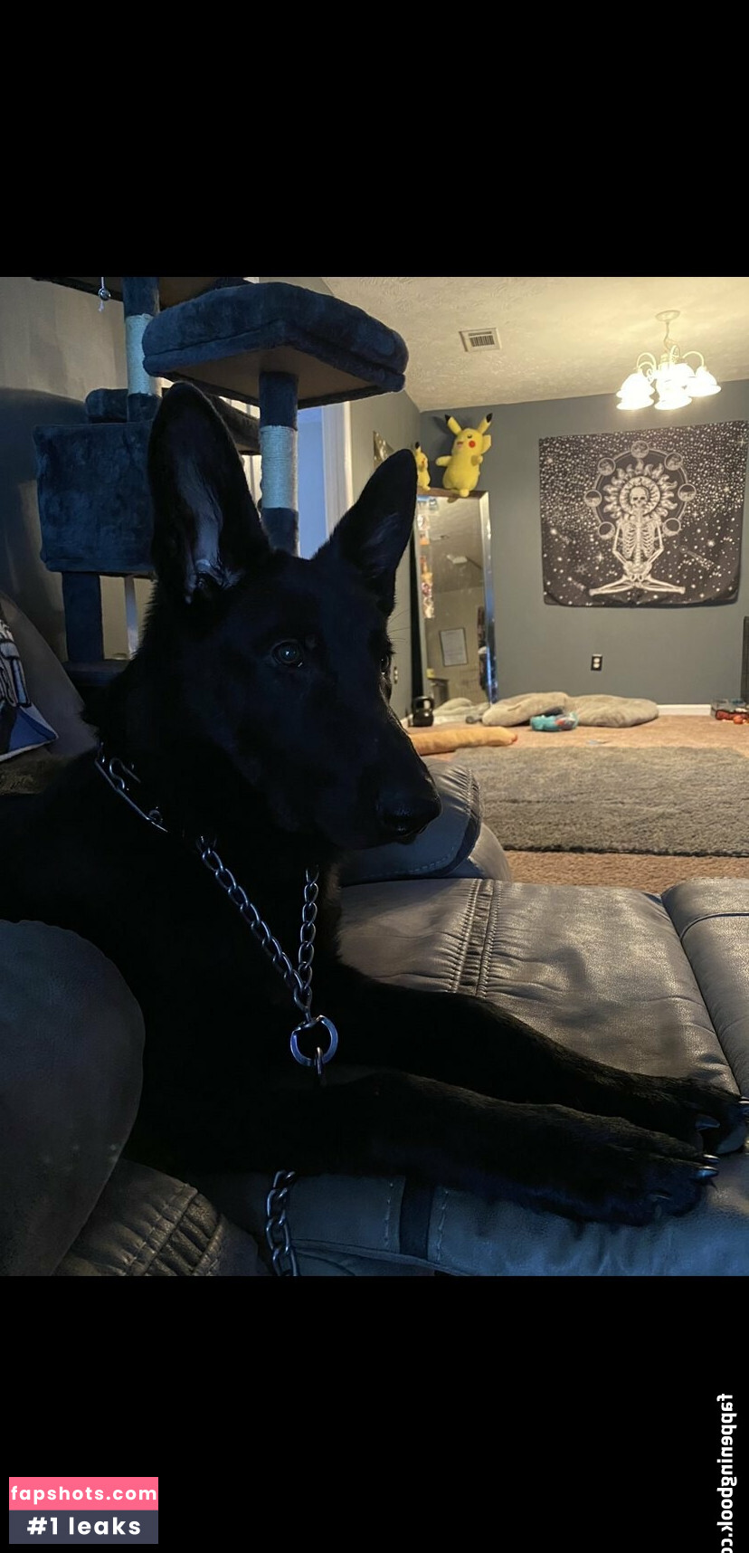 thesarahbnkx gallery photo #22