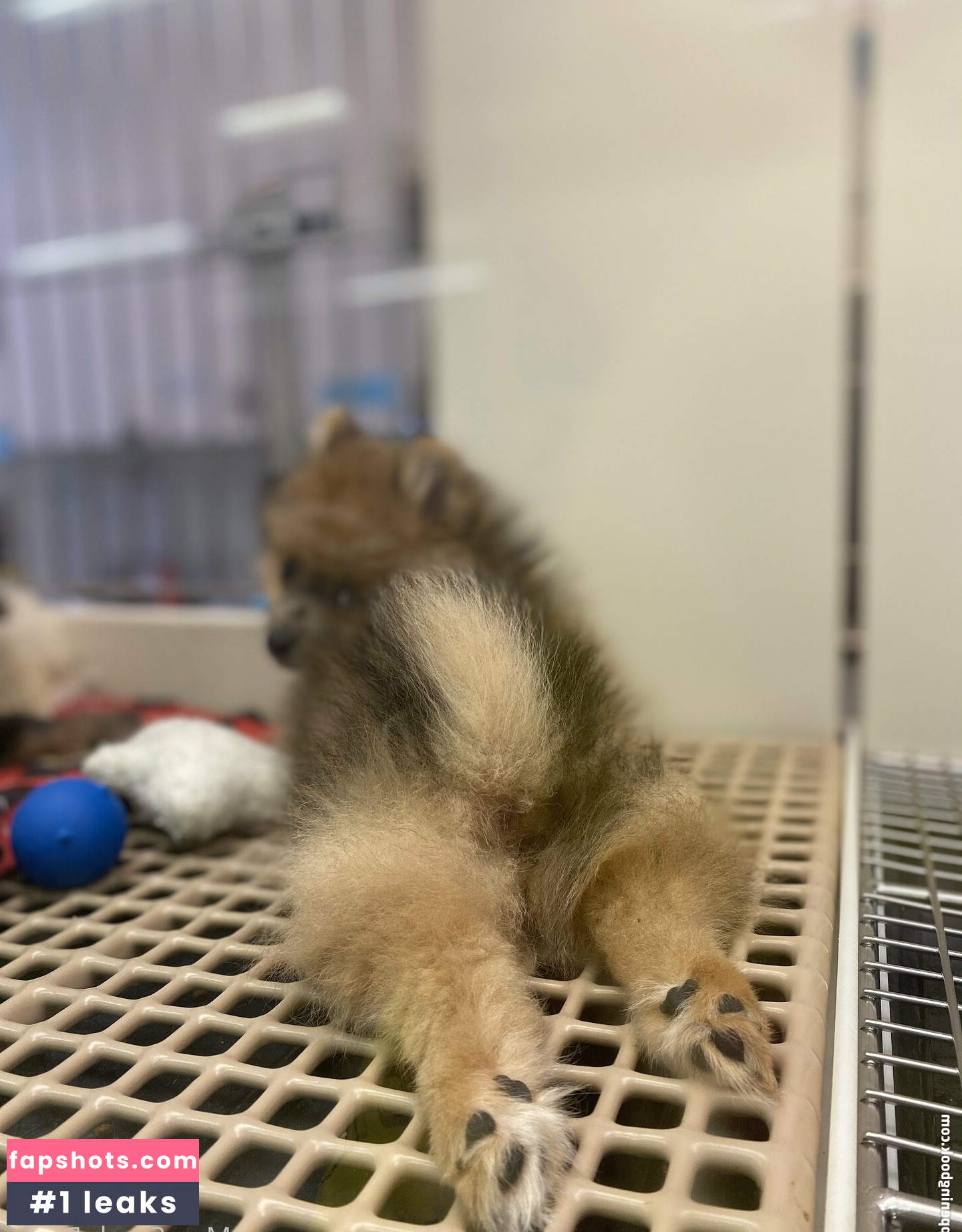 thesarahbnkx gallery photo #25