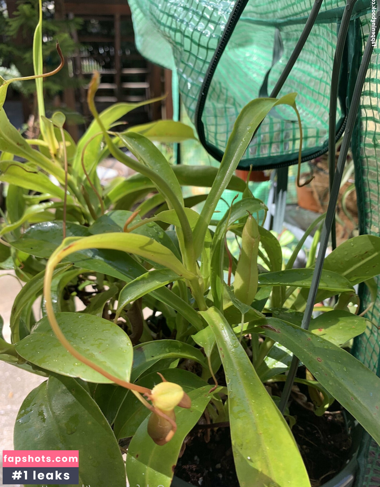 thesmuttymystic gallery photo #16