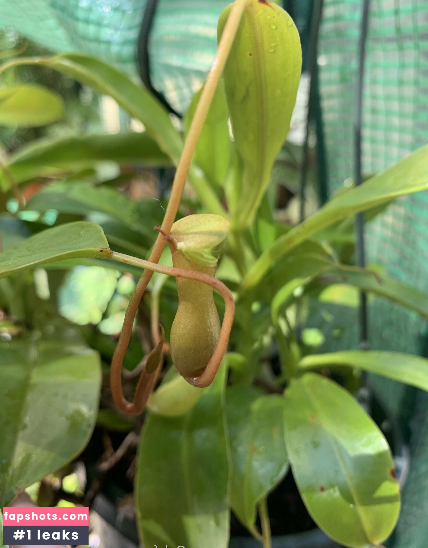 thesmuttymystic gallery photo #31