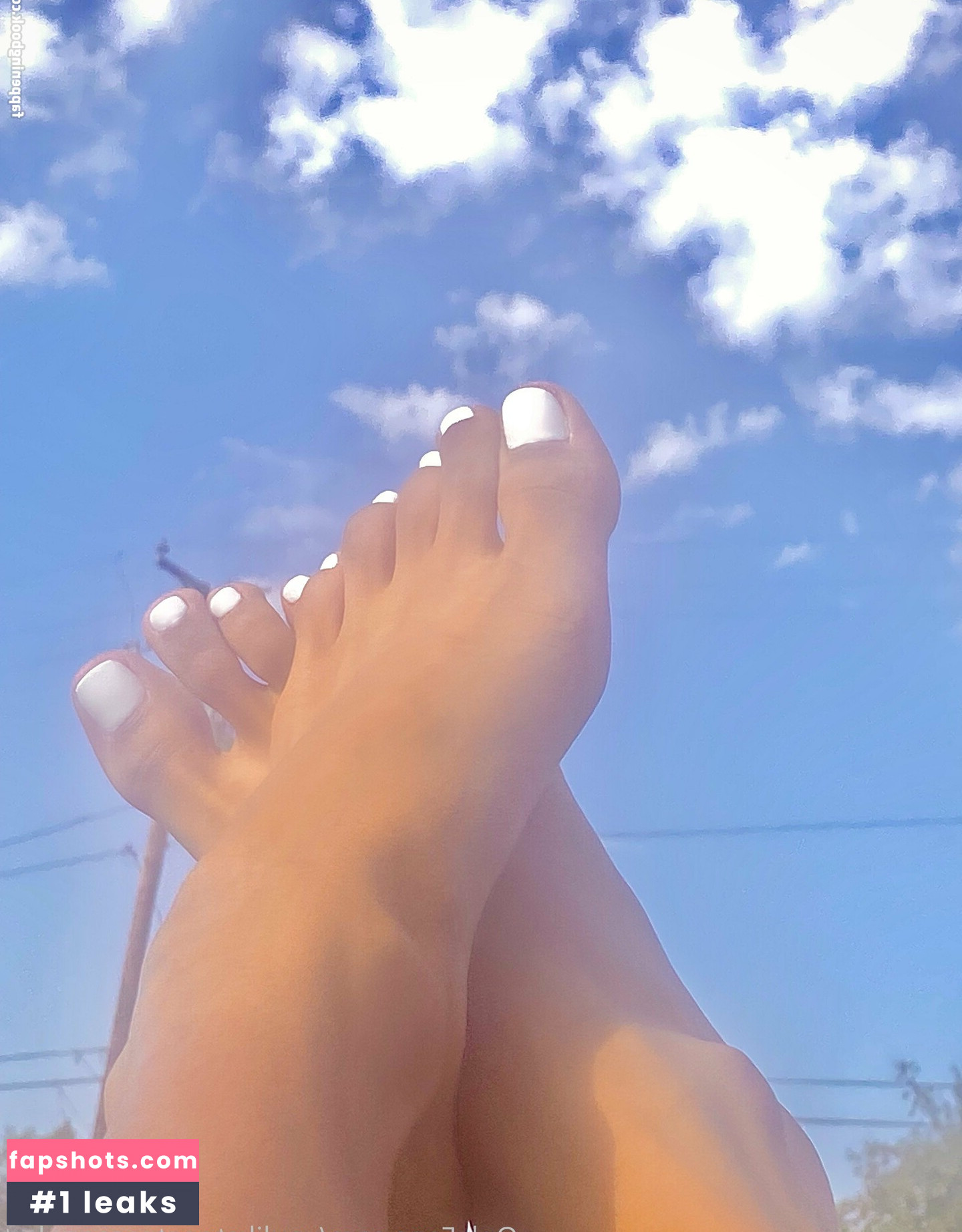 theultimatedeciever gallery photo #2