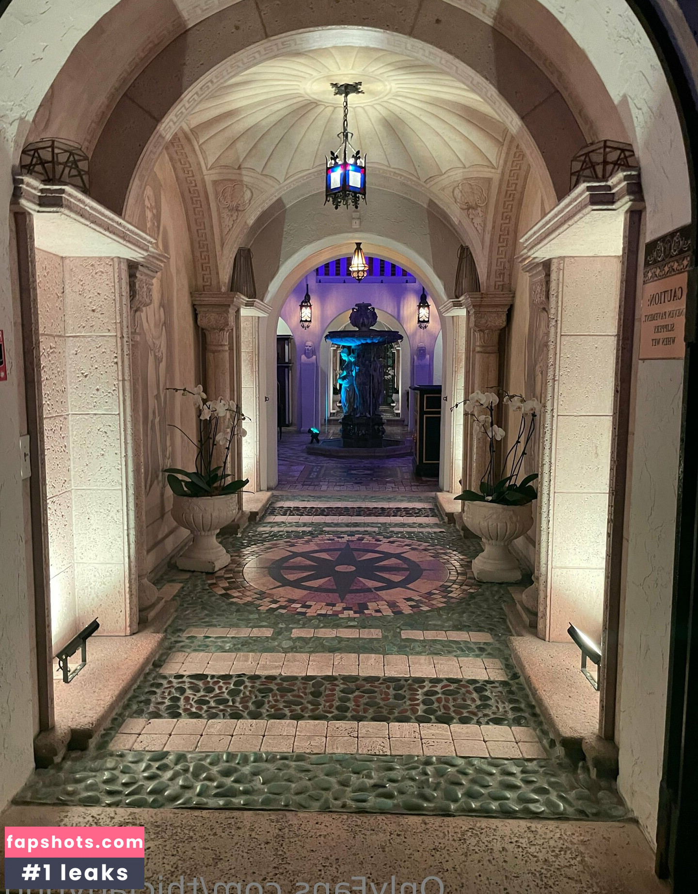 thicladybug gallery photo #62