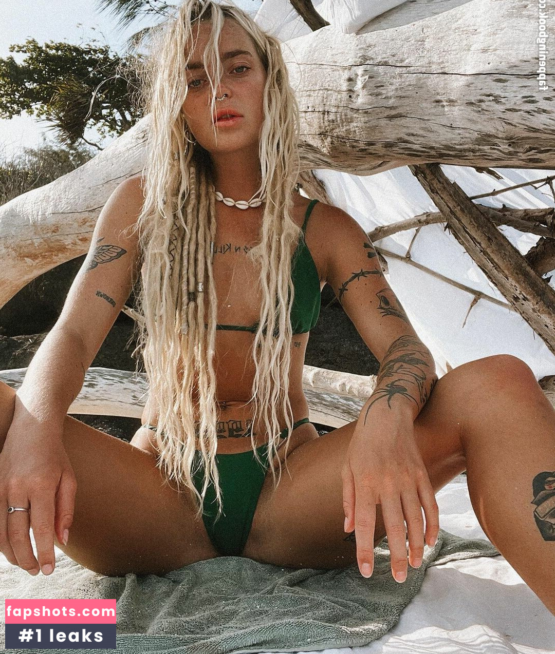 thisiscoyote gallery photo #2