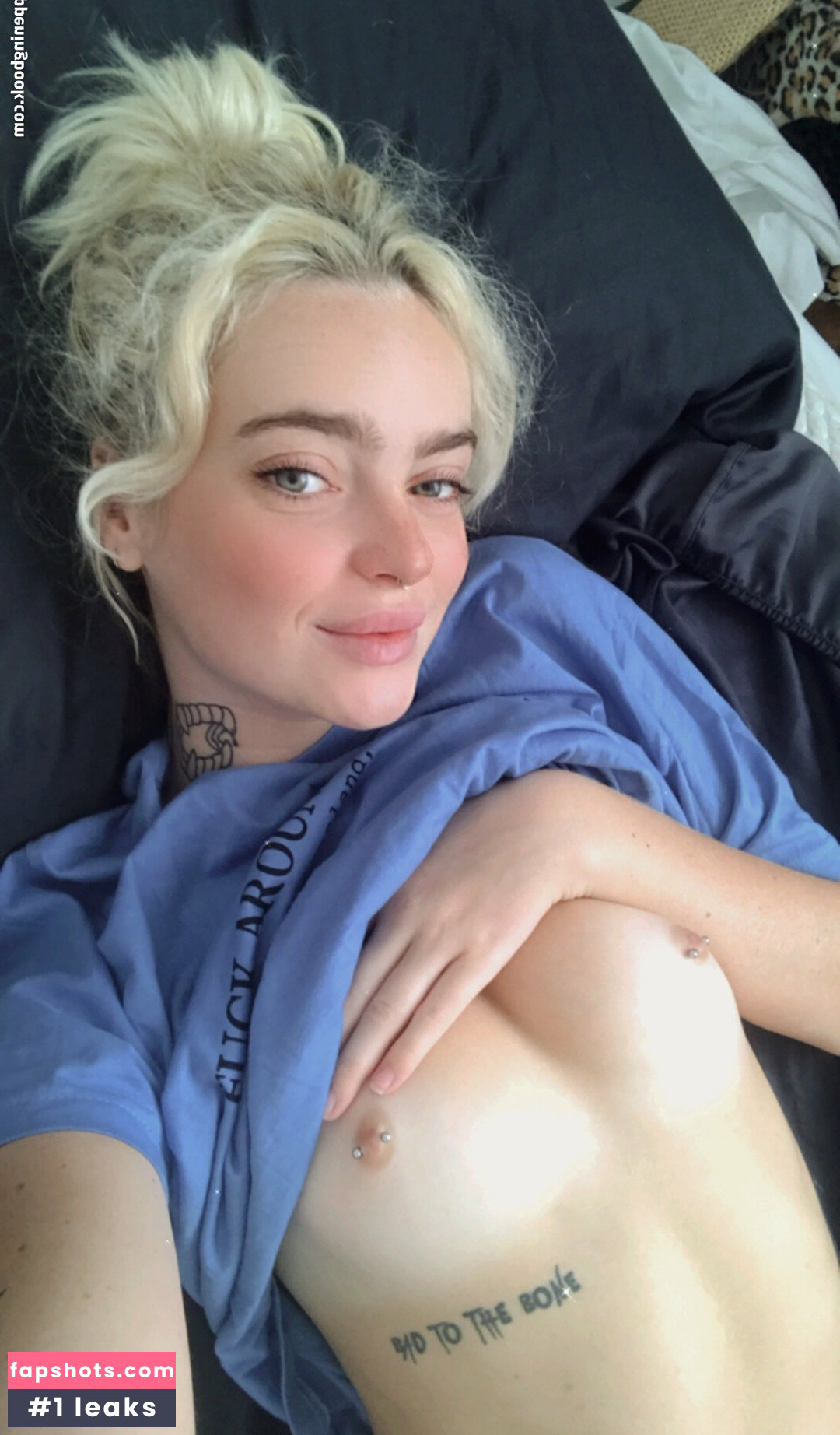 thisiscoyote gallery photo #26