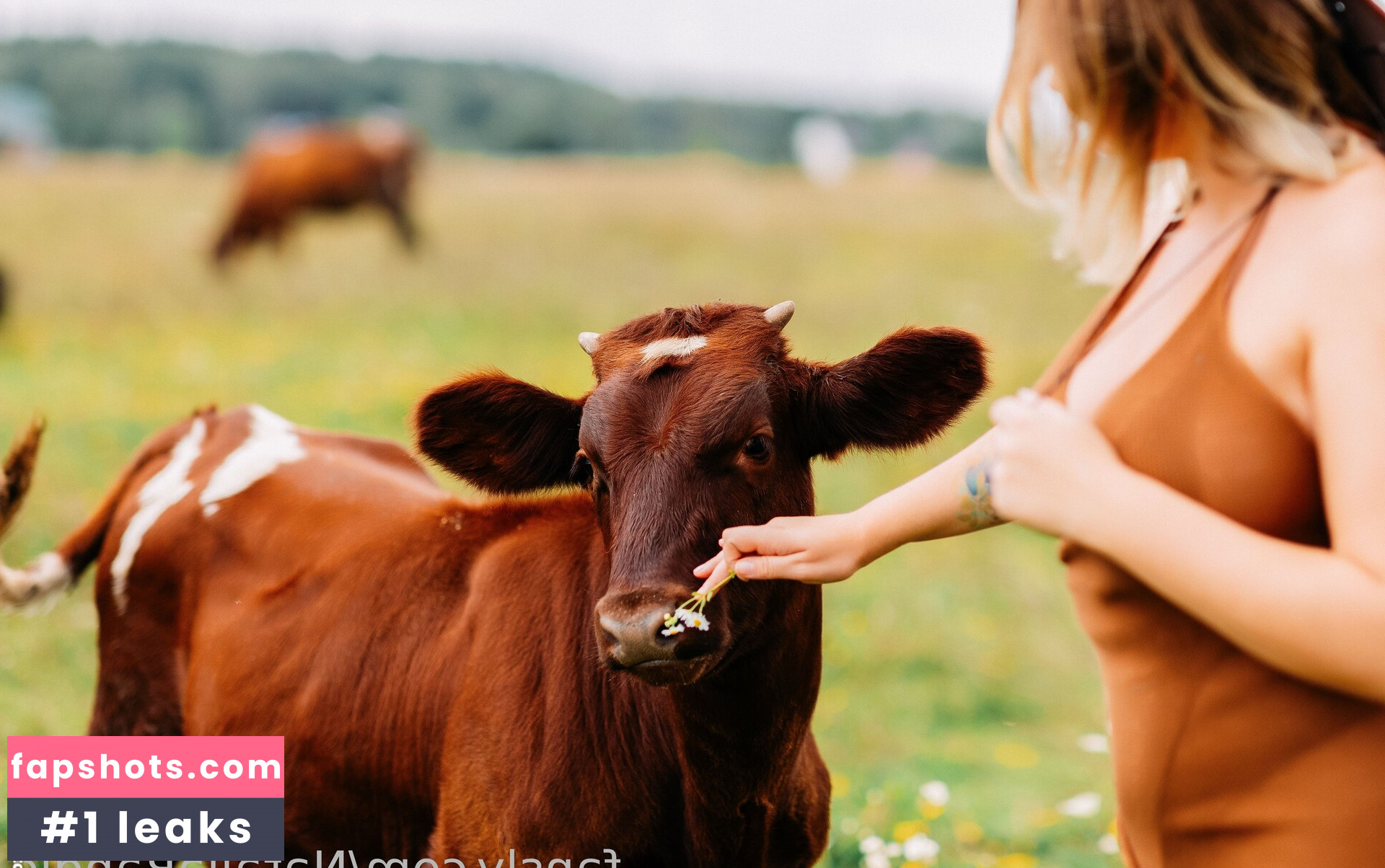 Tihomirova Natalia gallery photo #9