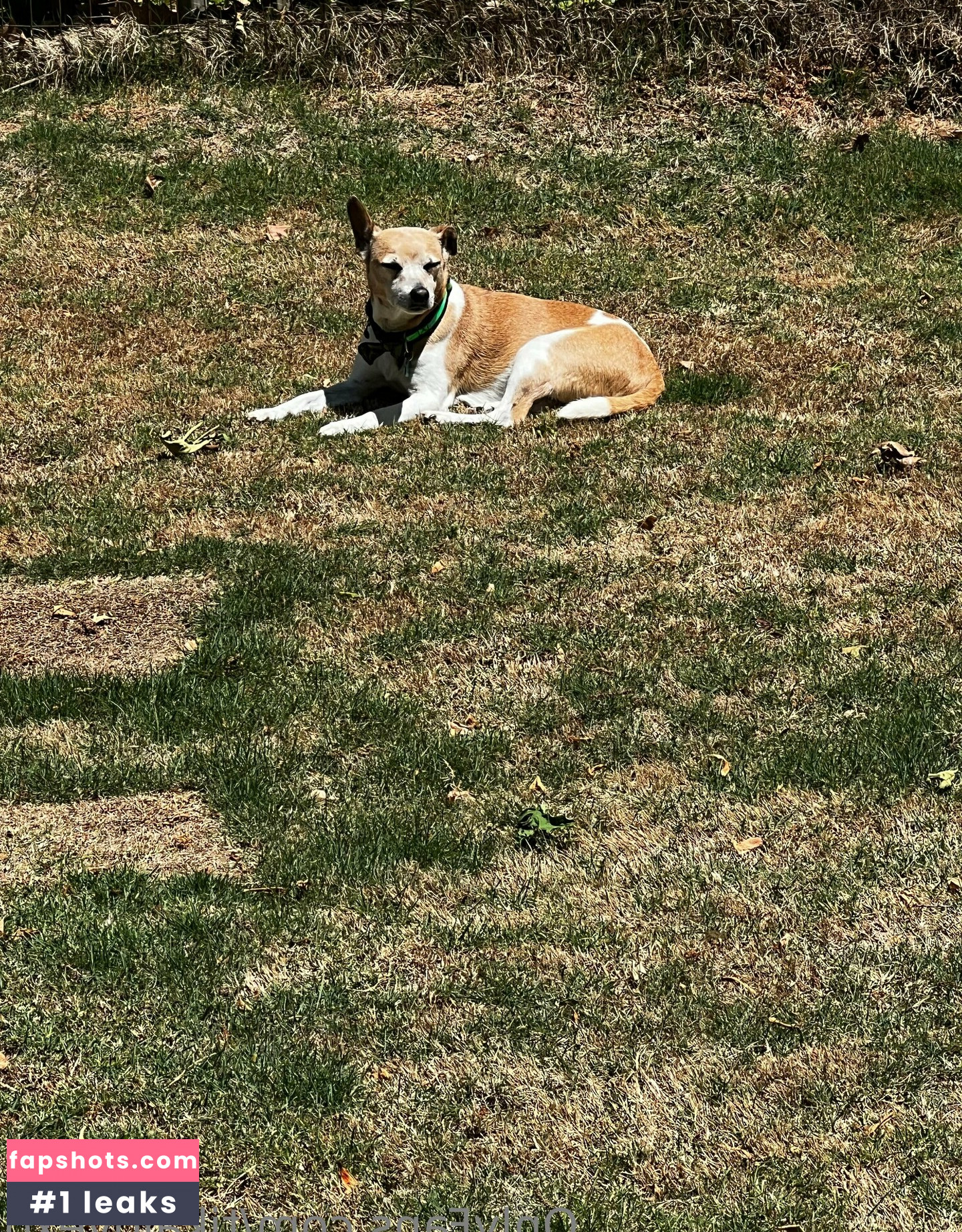 tikalovexo Nahé úniky fotek pouze od fanoušků #12 - Fapshots