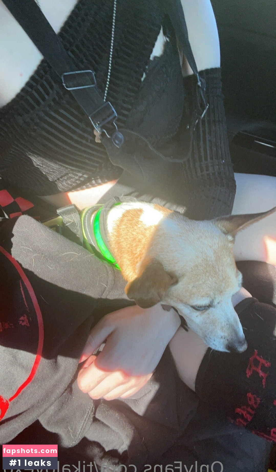 tikalovexo Nahé úniky fotek pouze od fanoušků #13 - Fapshots