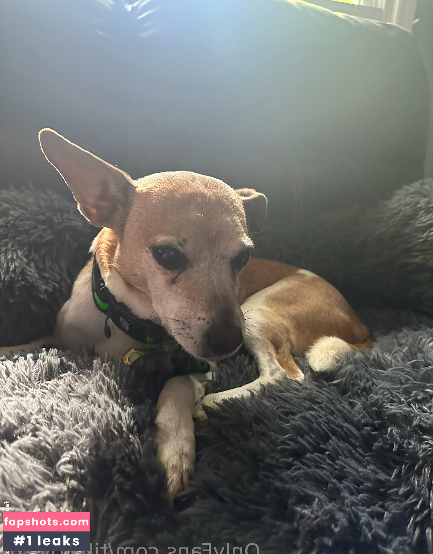 tikalovexo Nahé úniky fotek pouze od fanoušků #20 - Fapshots