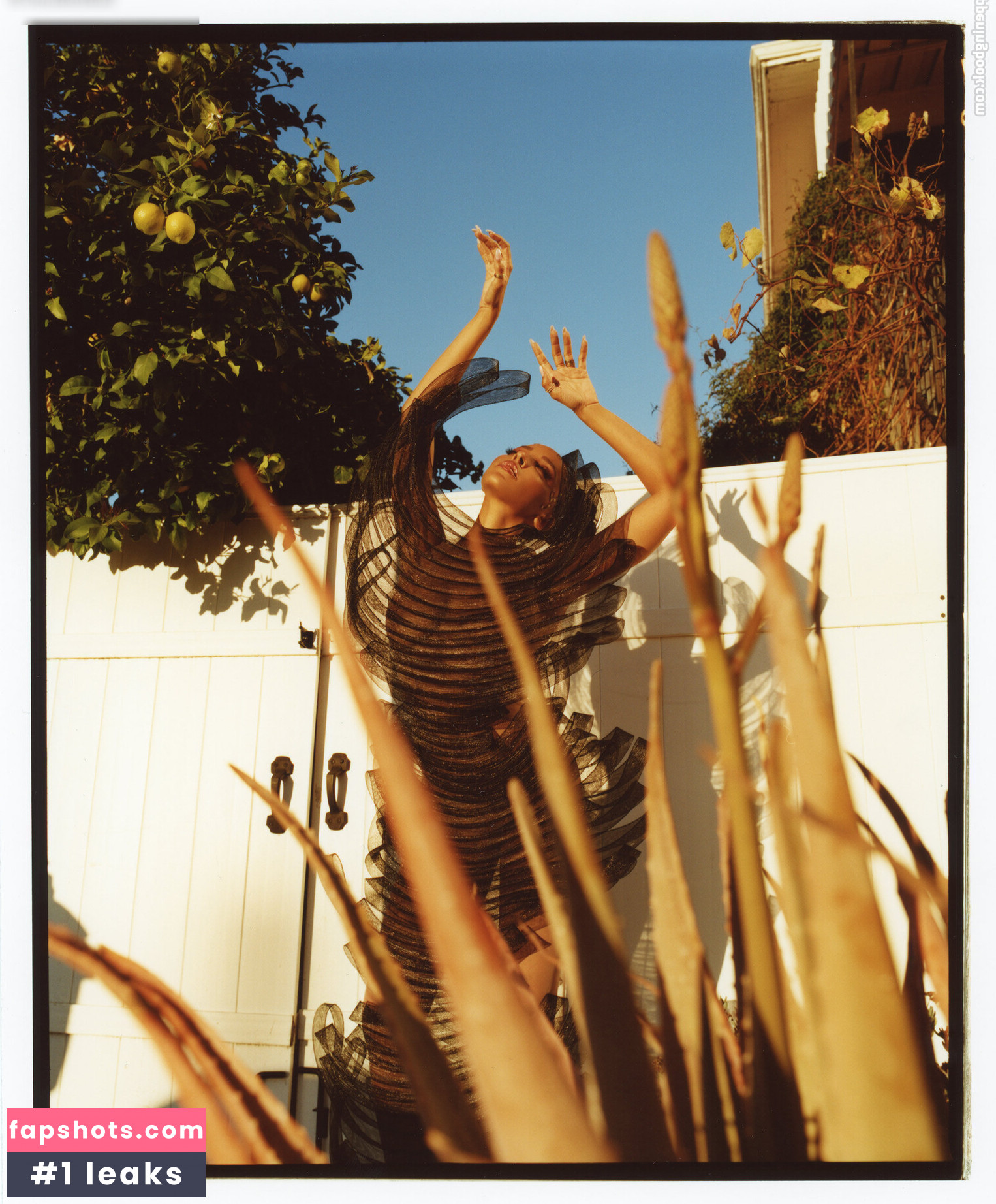 Tinashe gallery photo #29