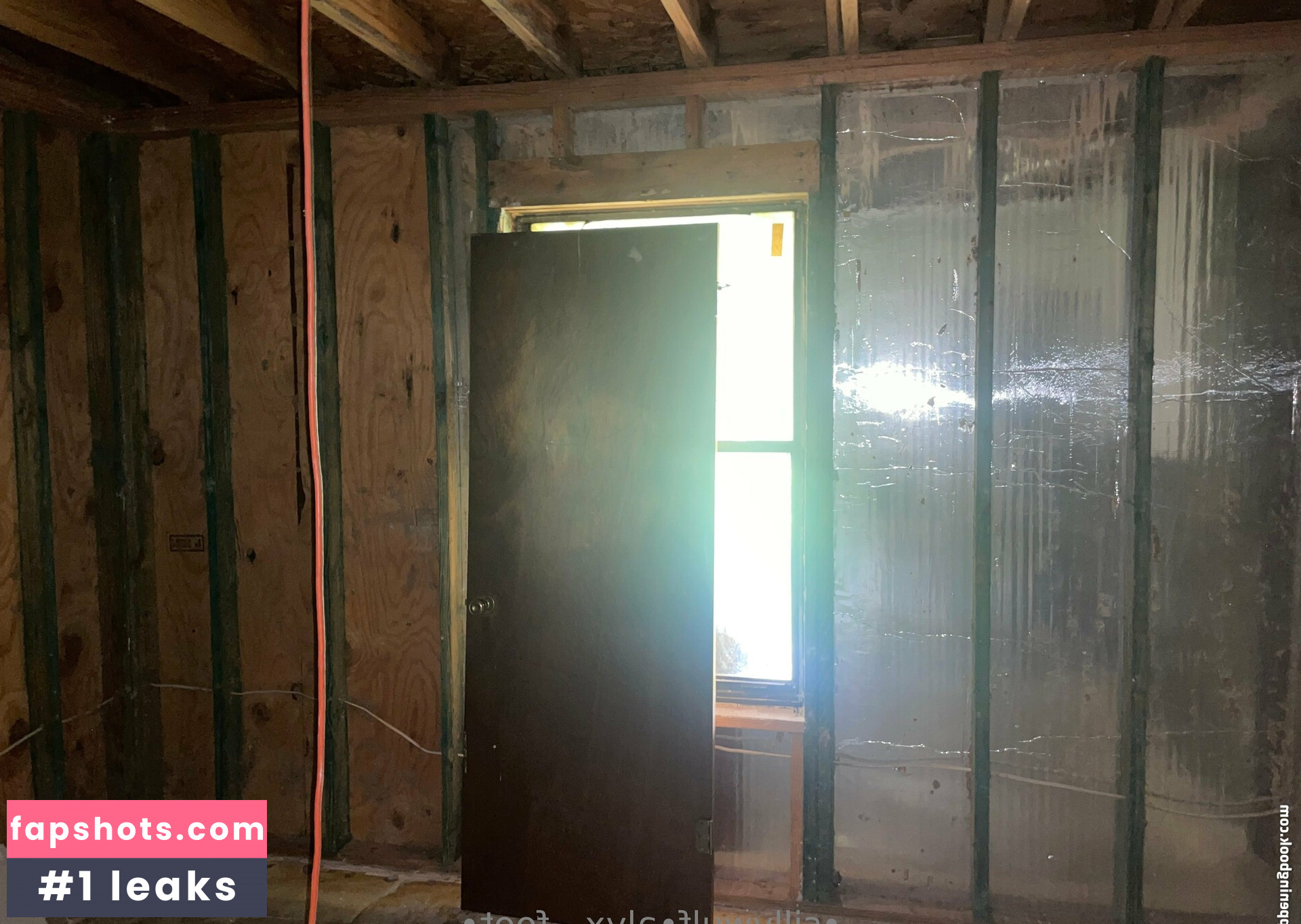 tinykittie gallery photo #14