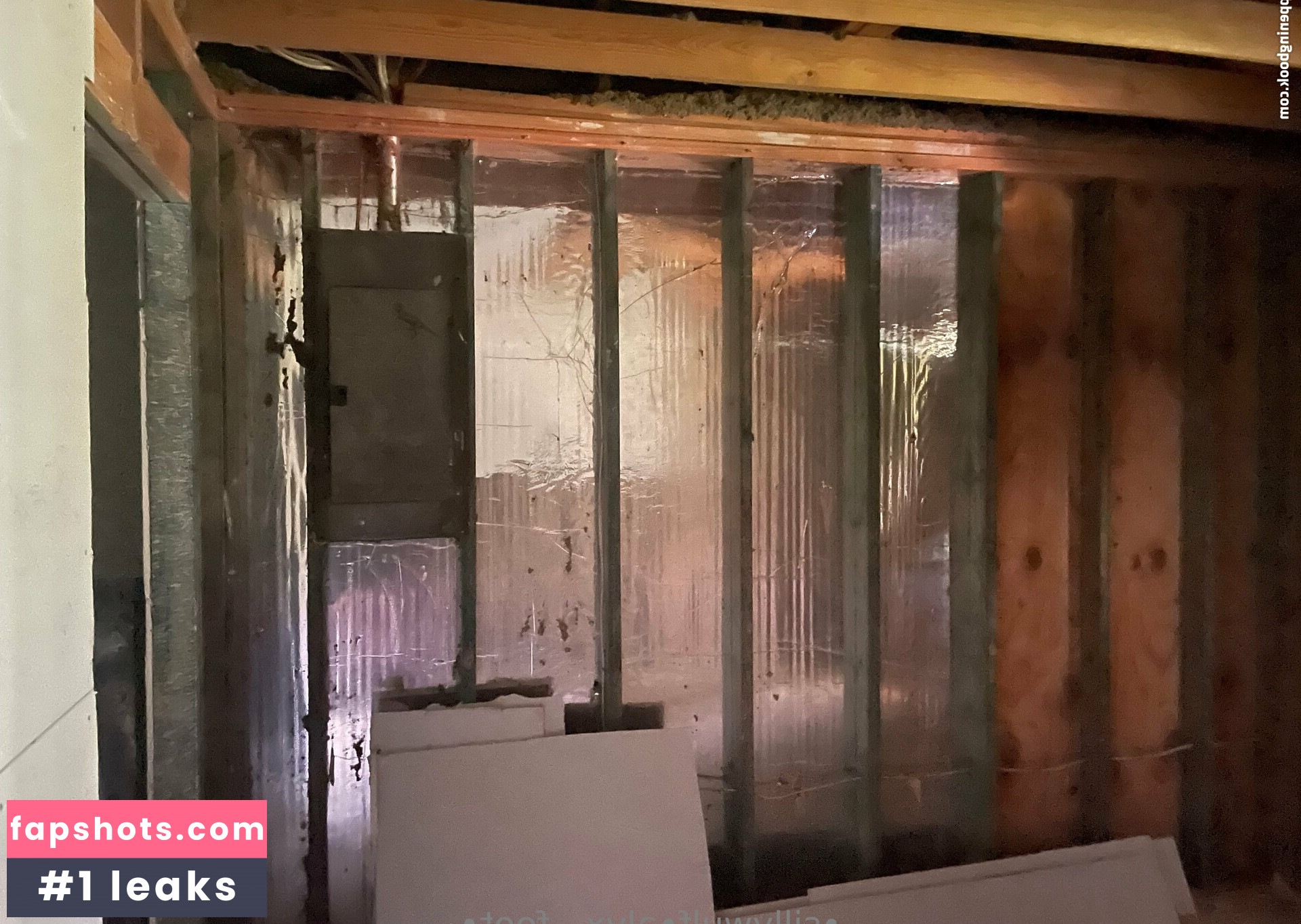 tinykittie gallery photo #15