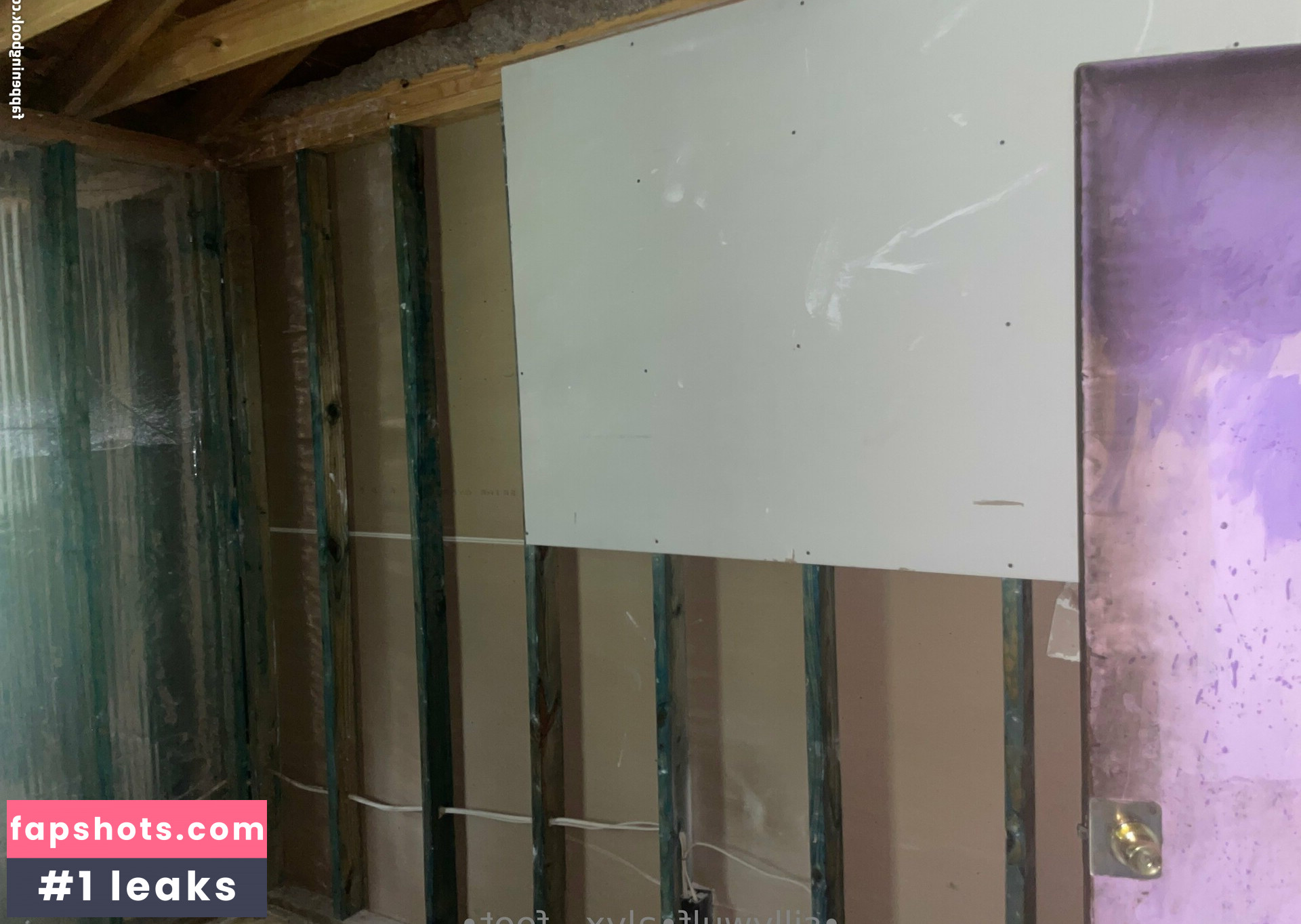 tinykittie gallery photo #17