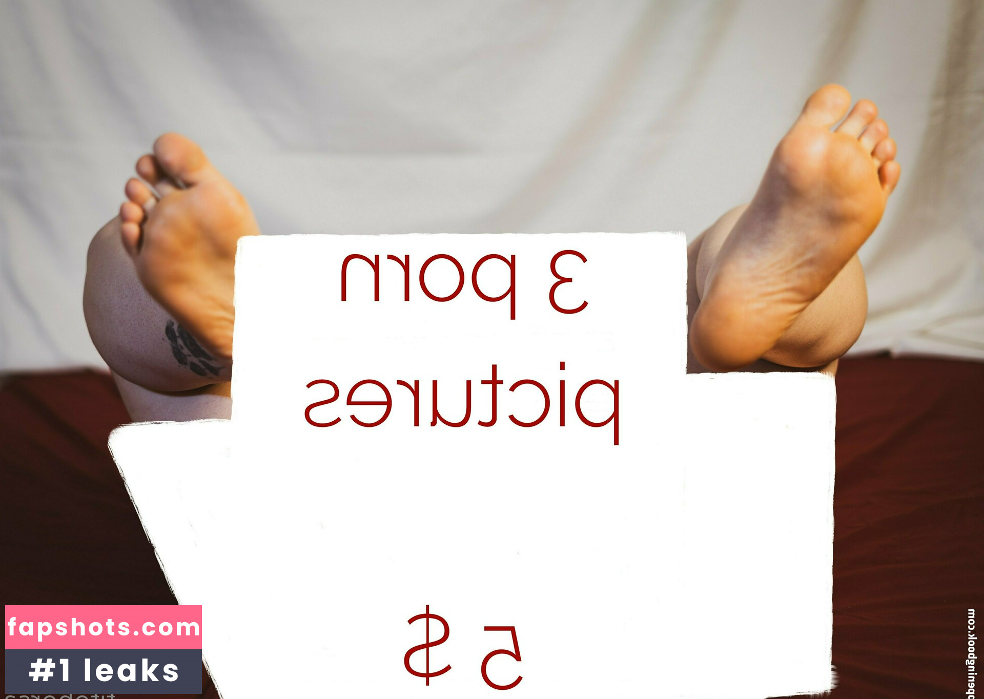 titoborsa.free gallery photo #14