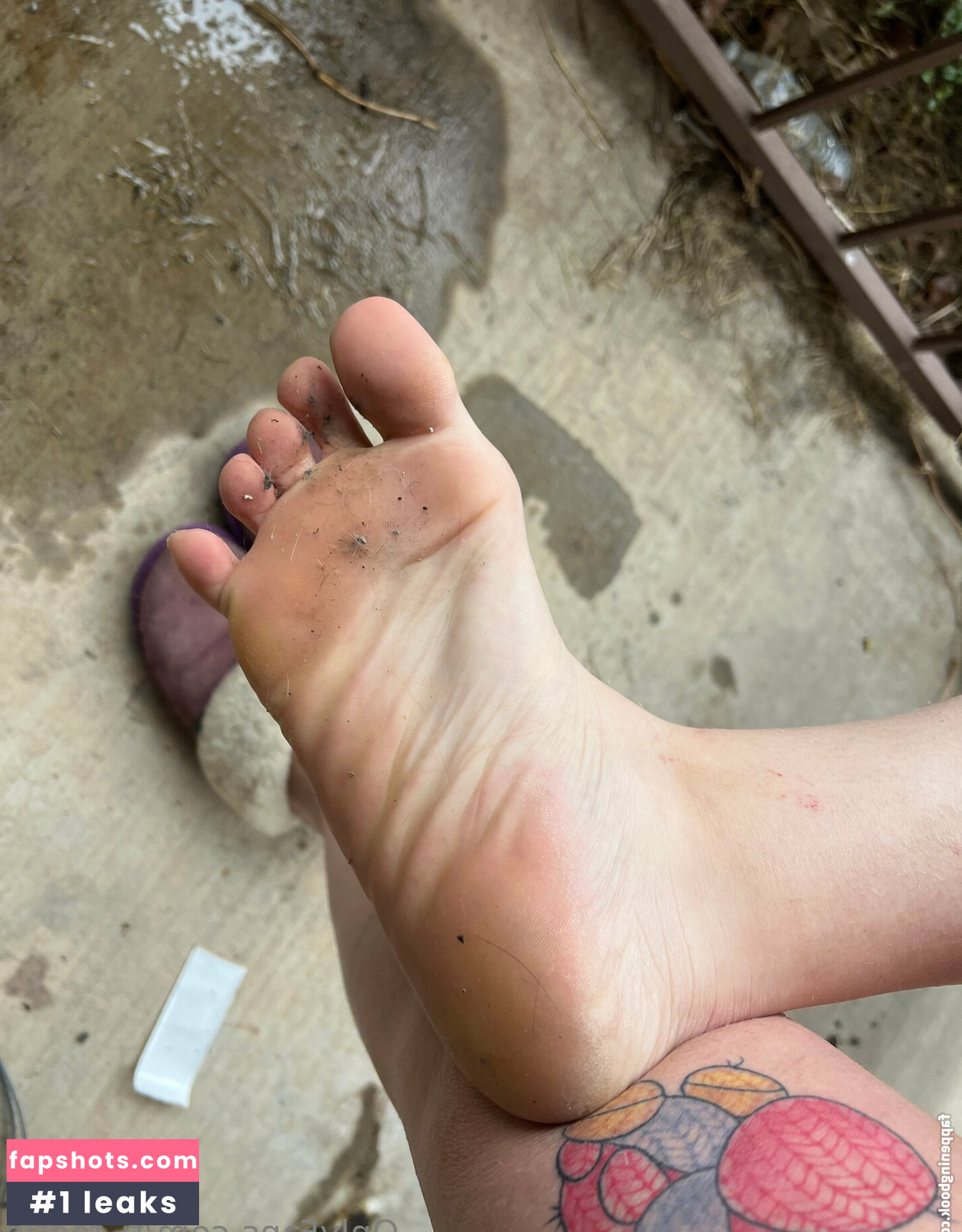 tj_footie gallery photo #17