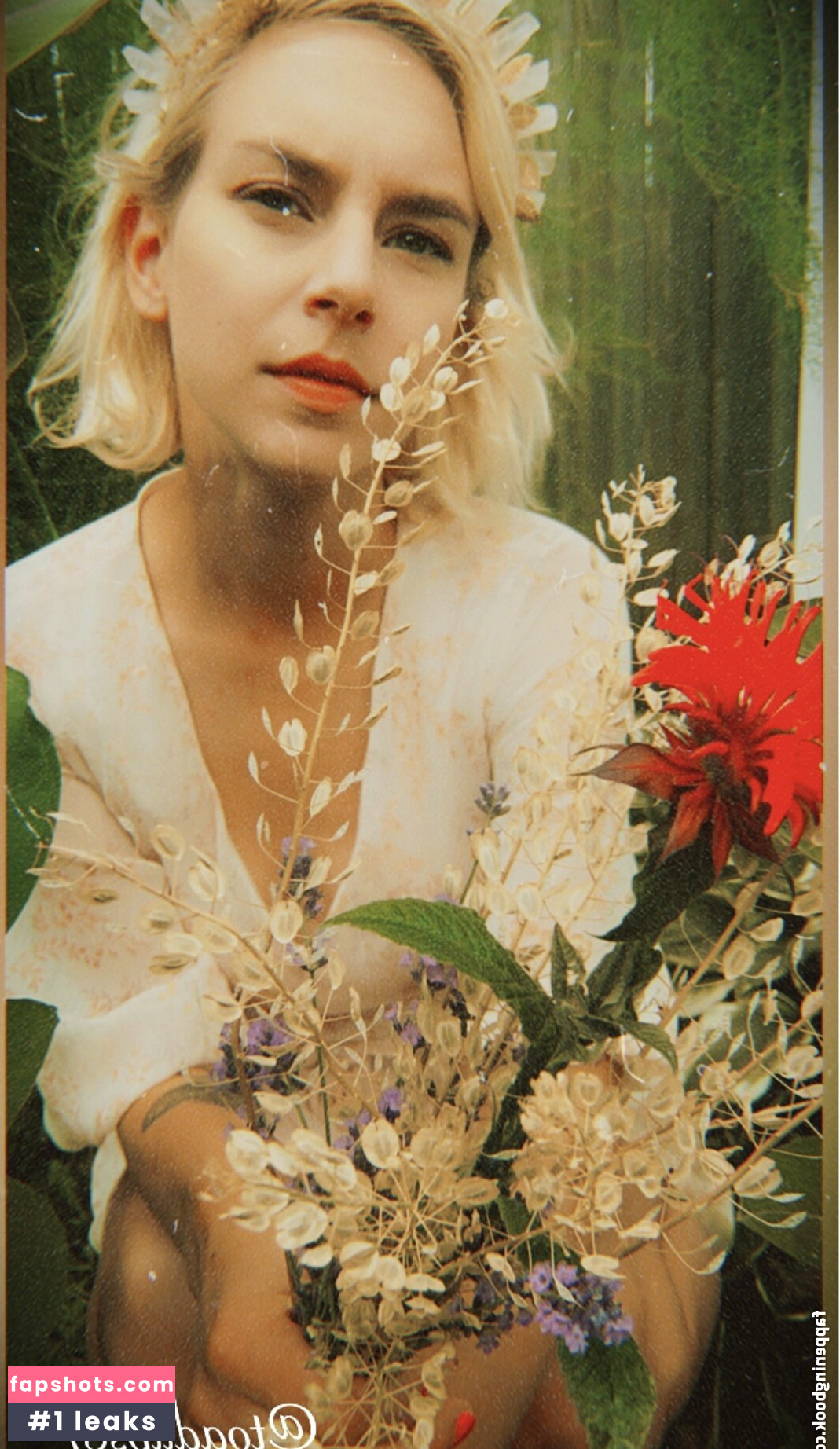 toadlips87free gallery photo #18