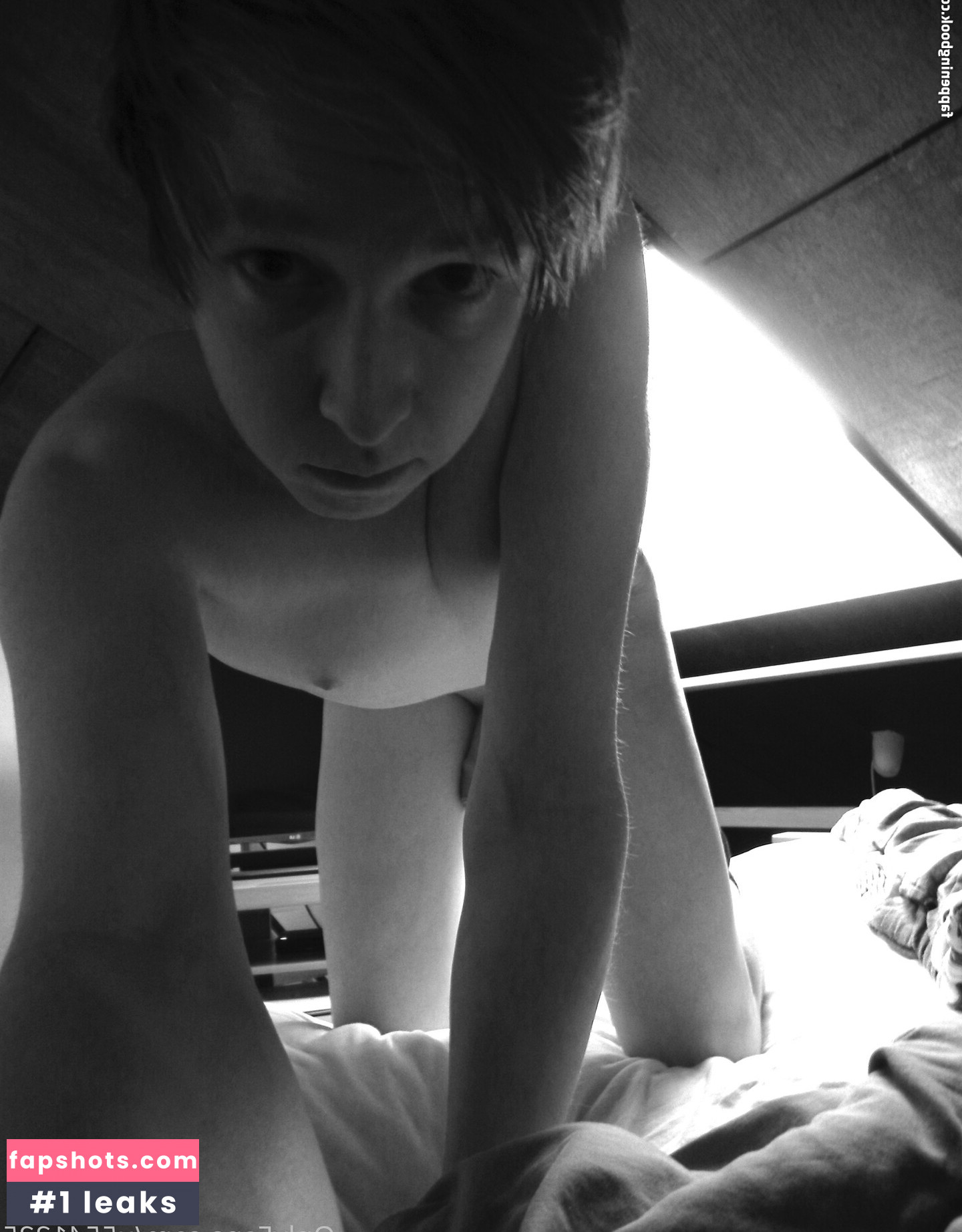 toastmauwmauw gallery photo #12