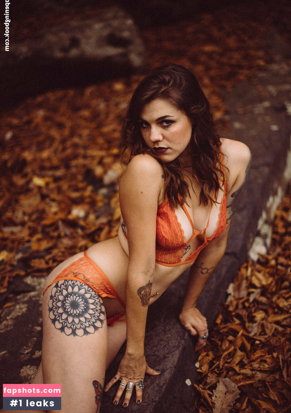 tobiashibbs gallery photo #3