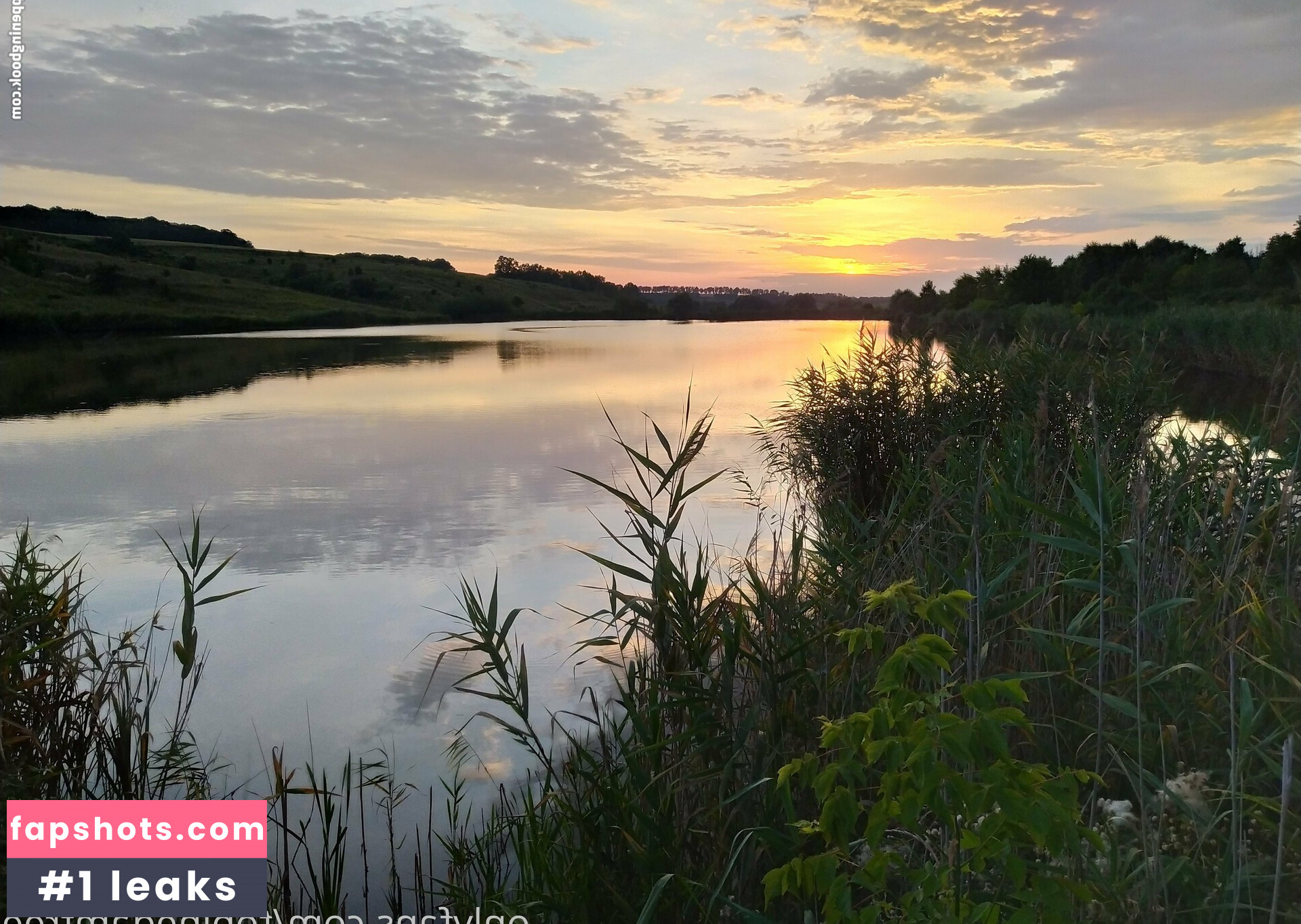 tobinedamfree gallery photo #47