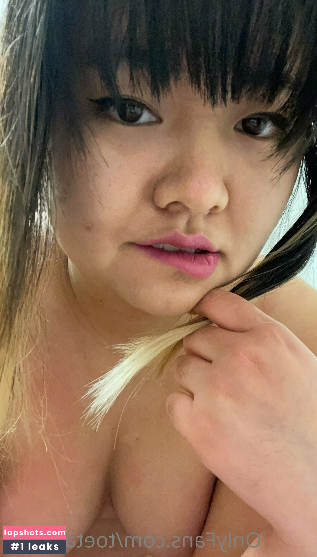 toetalwreck gallery photo #4