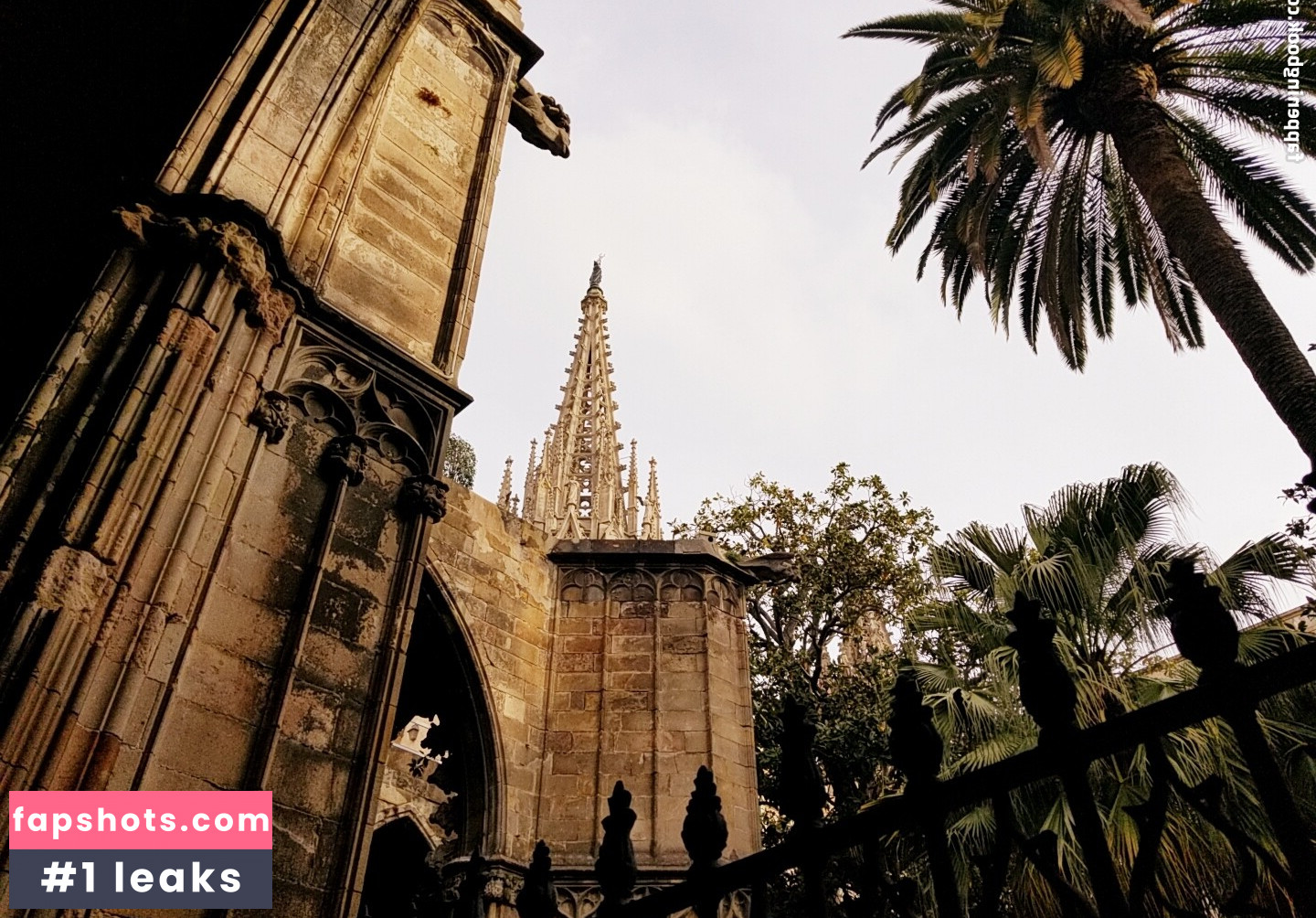 tommypistol gallery photo #16