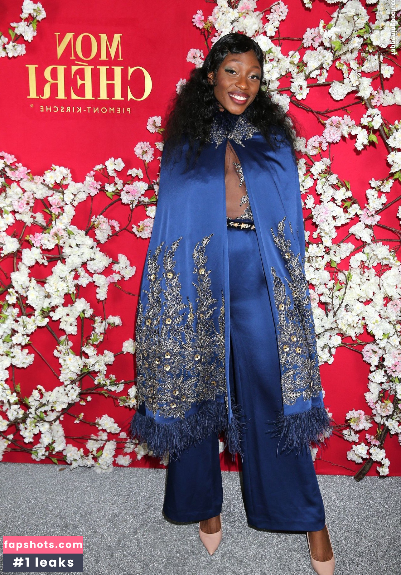 Toni Dreher-Adenuga Nude Leaks OnlyFans Photos #13 - LeakJerk