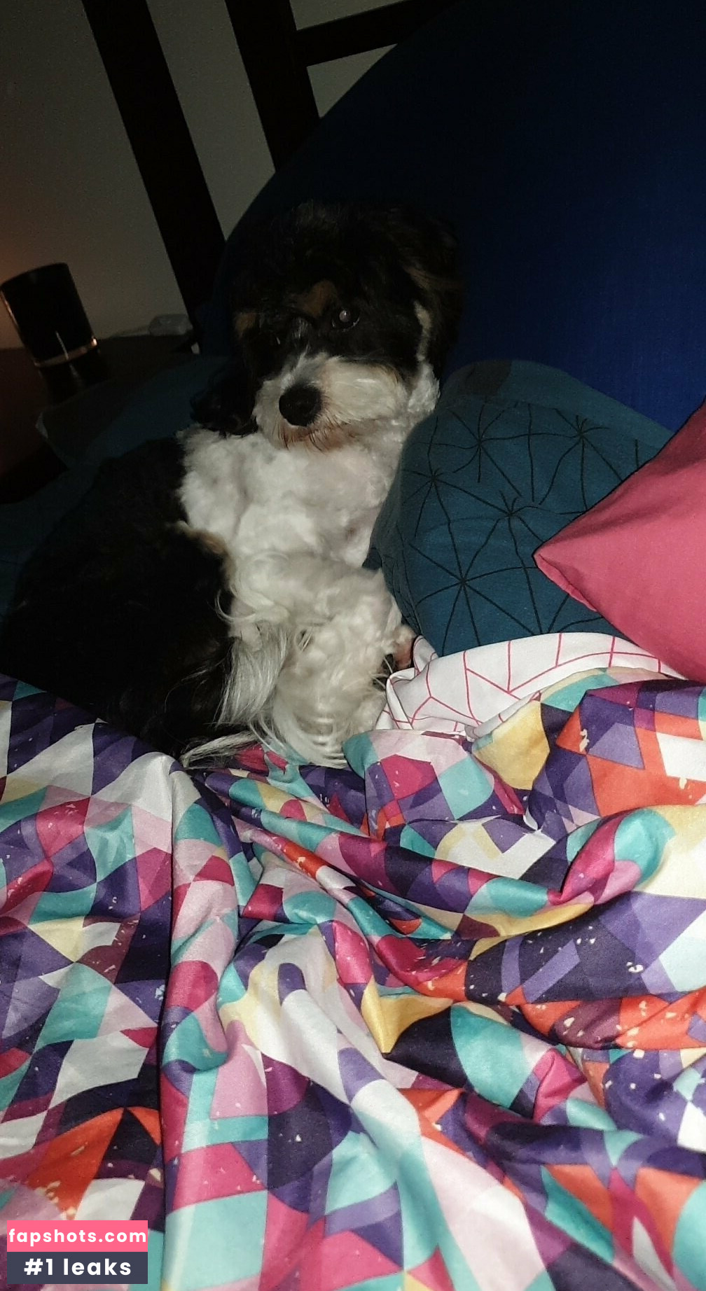 toniclust Nahé úniky fotek pouze od fanoušků #31 - Fapshots