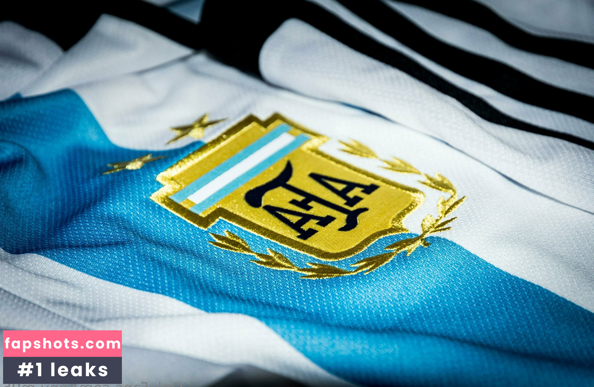 tony-m95 gallery photo #8