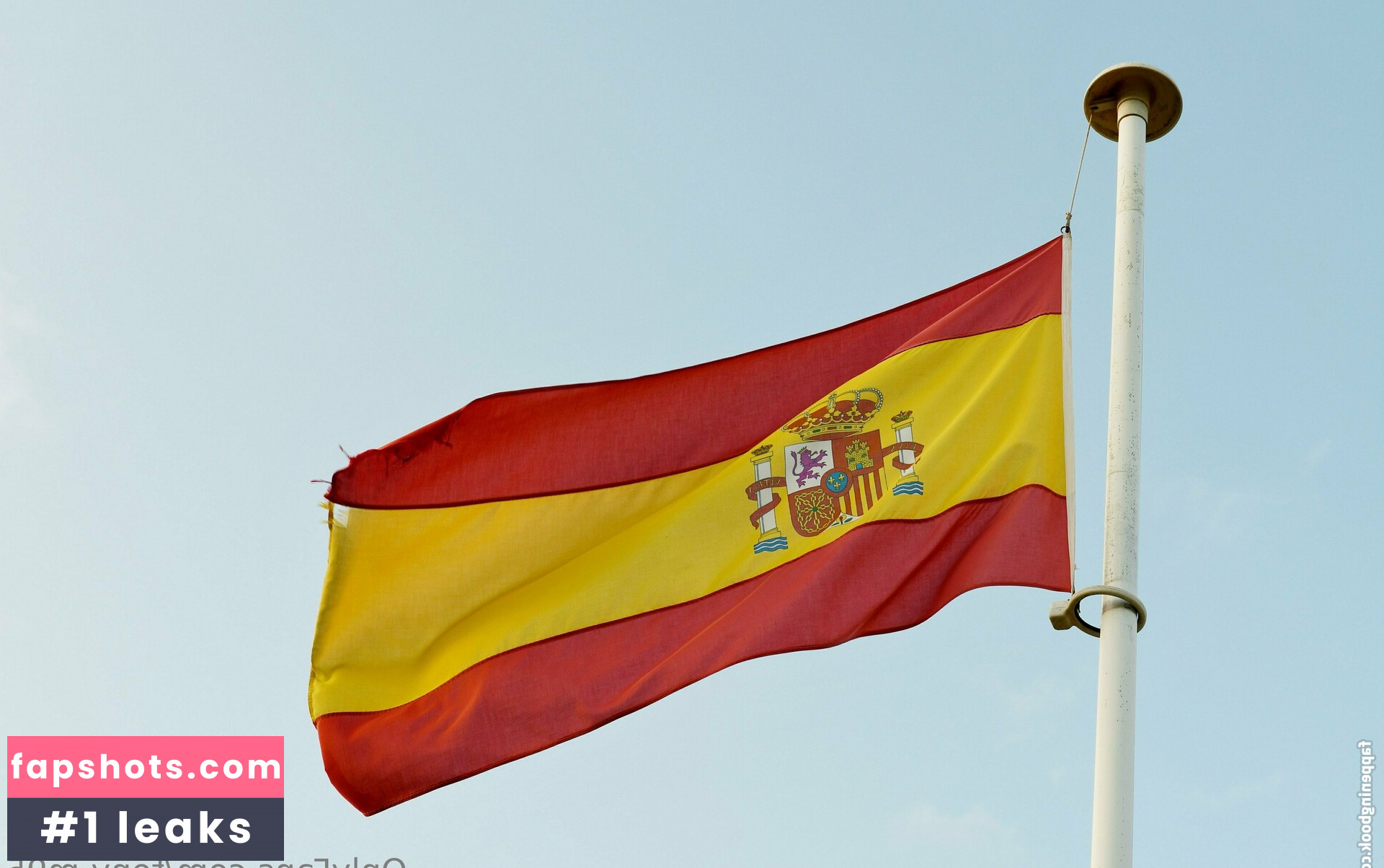 tony-m95 gallery photo #10