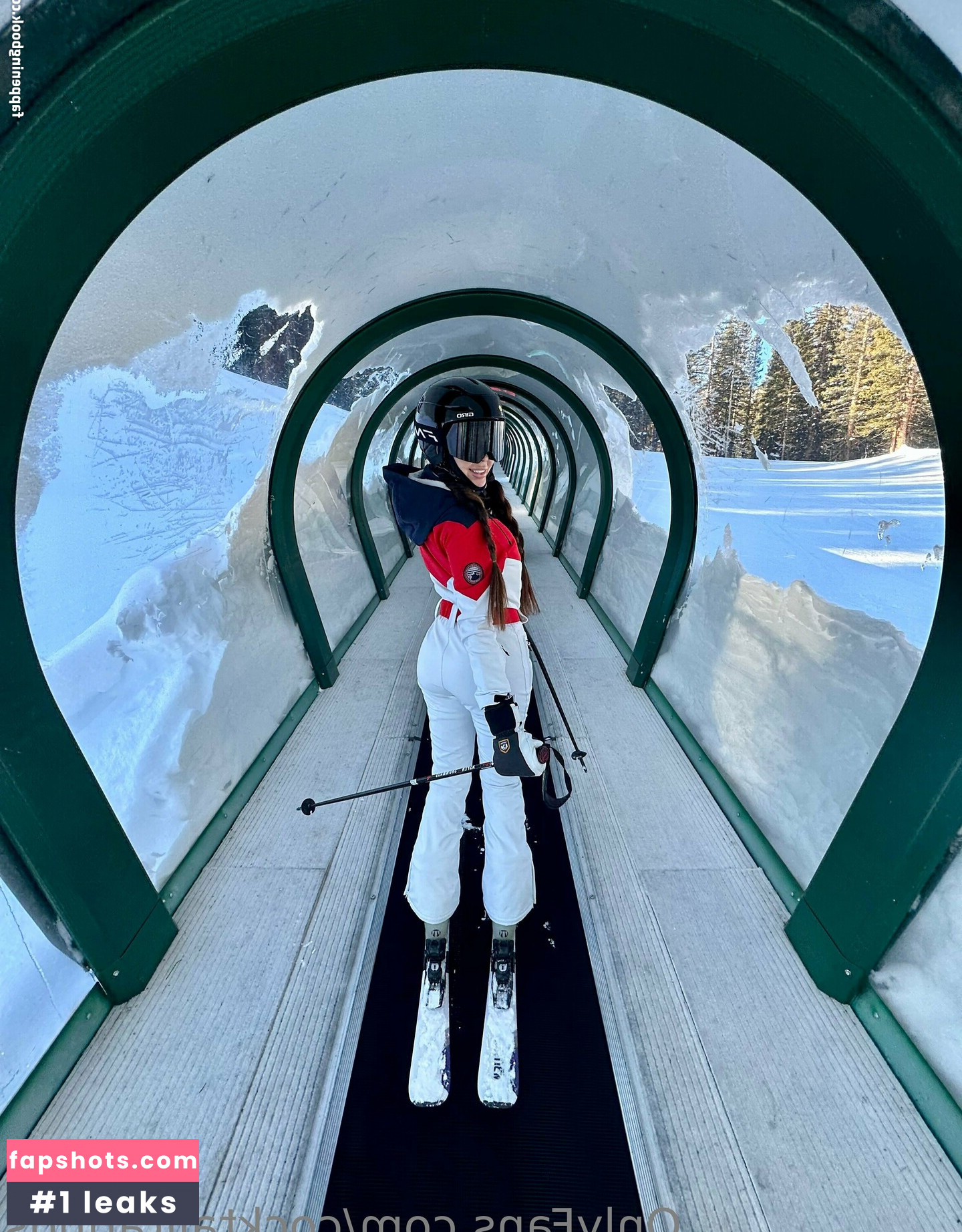 torgalore gallery photo #11