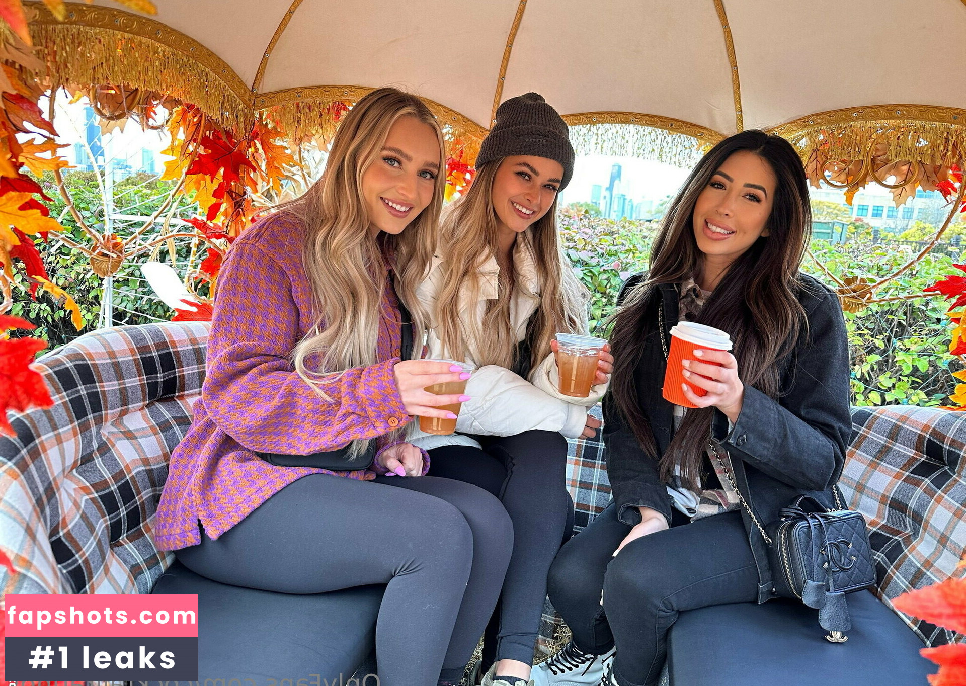 torgalore gallery photo #20