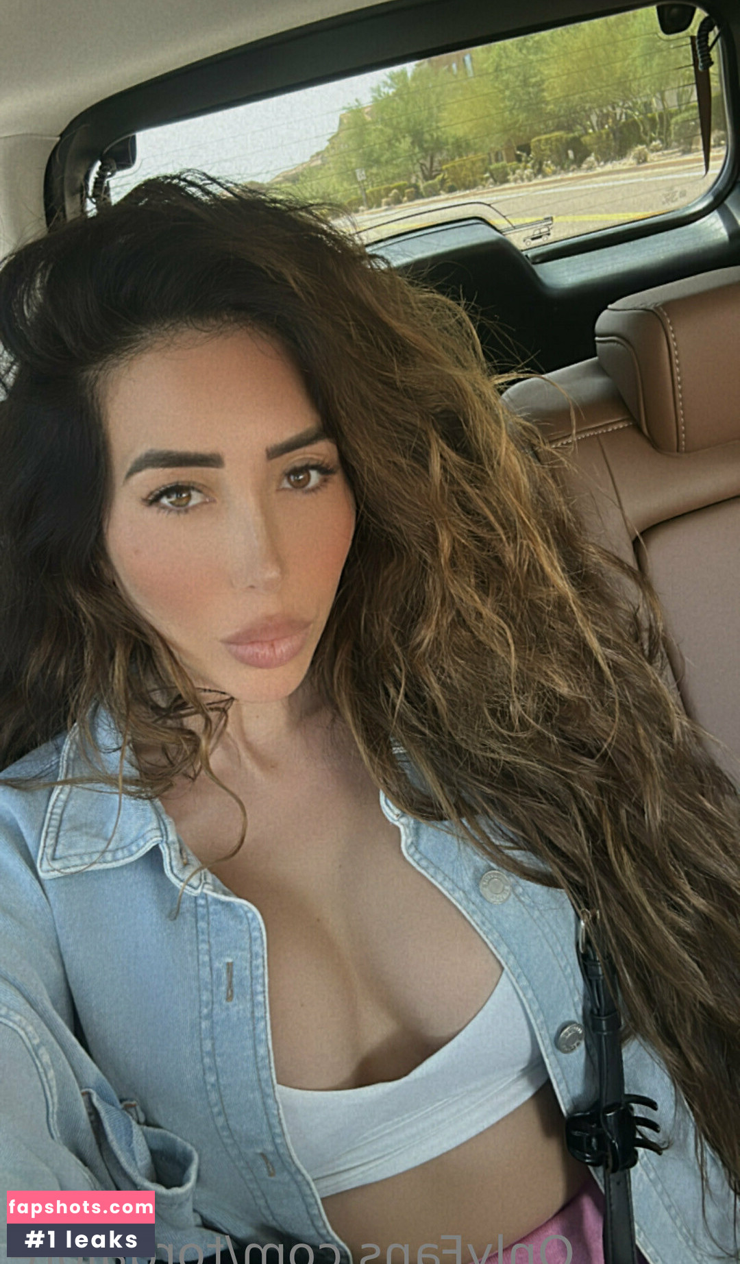 torgalore gallery photo #3