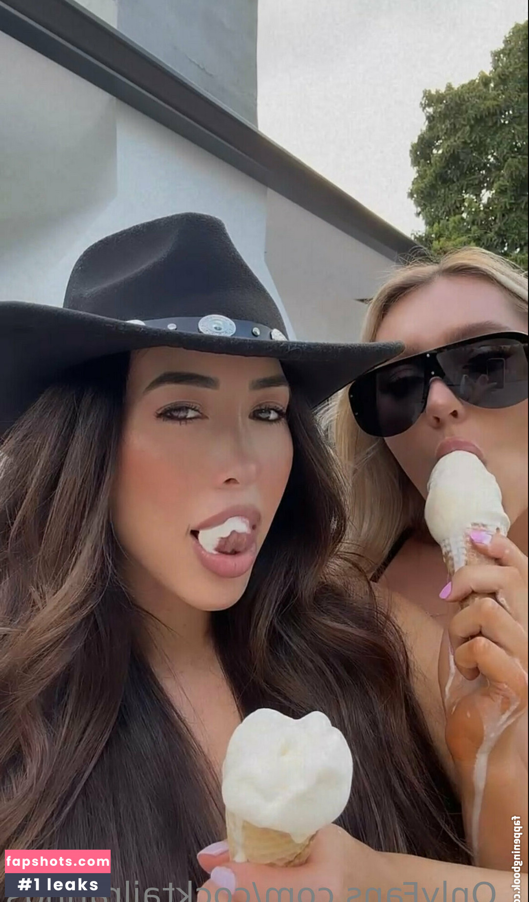 torgalore gallery photo #24