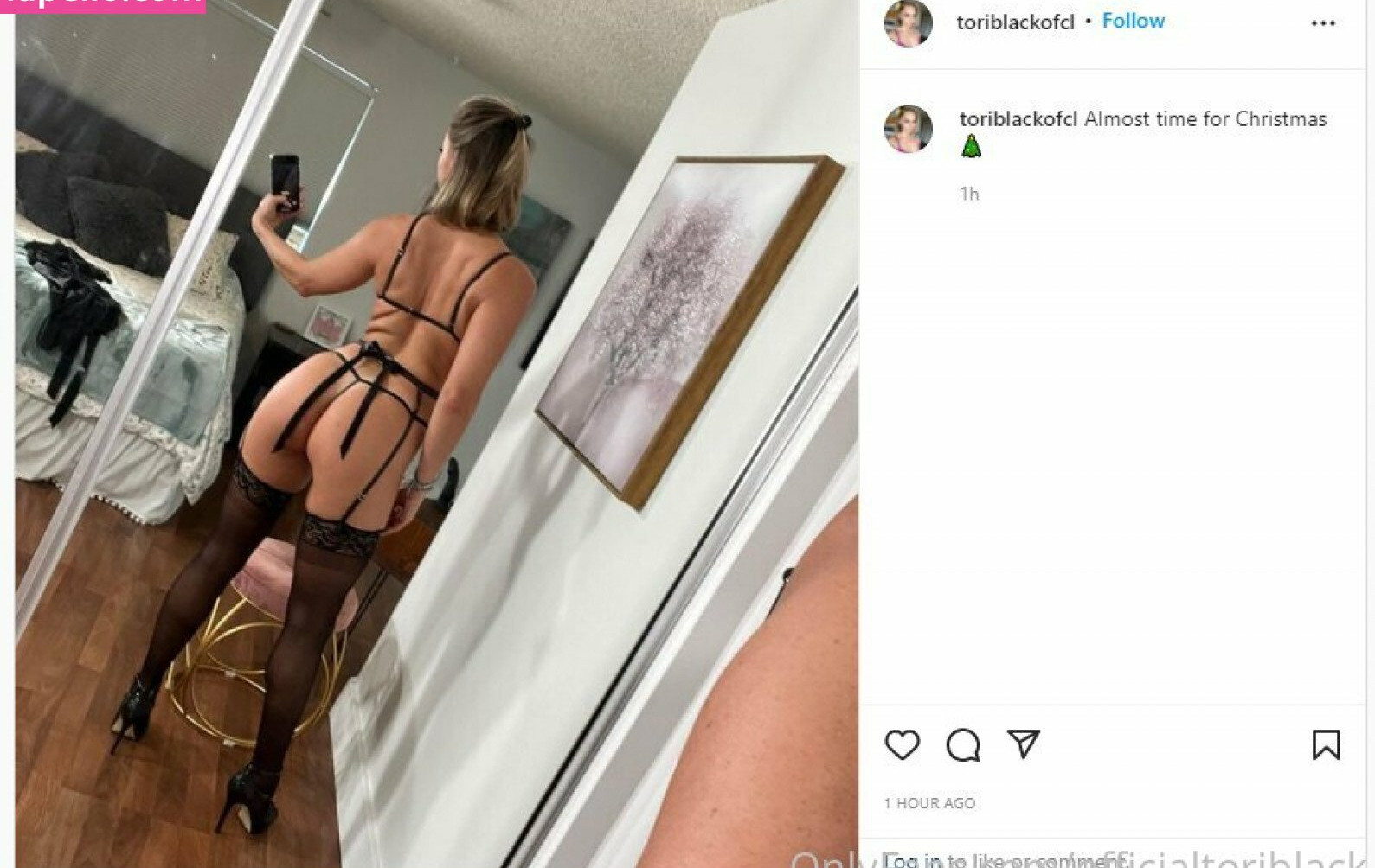 tori-black gallery photo #1223