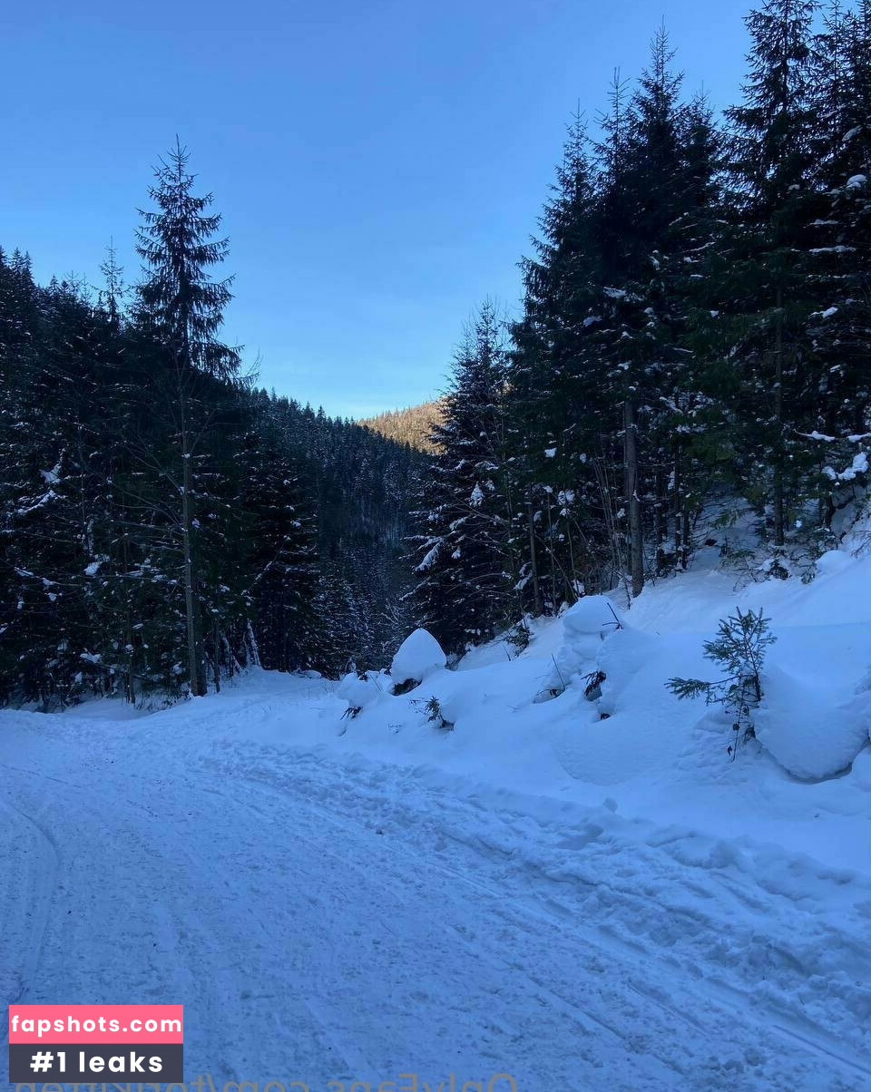 torikitten gallery photo #36