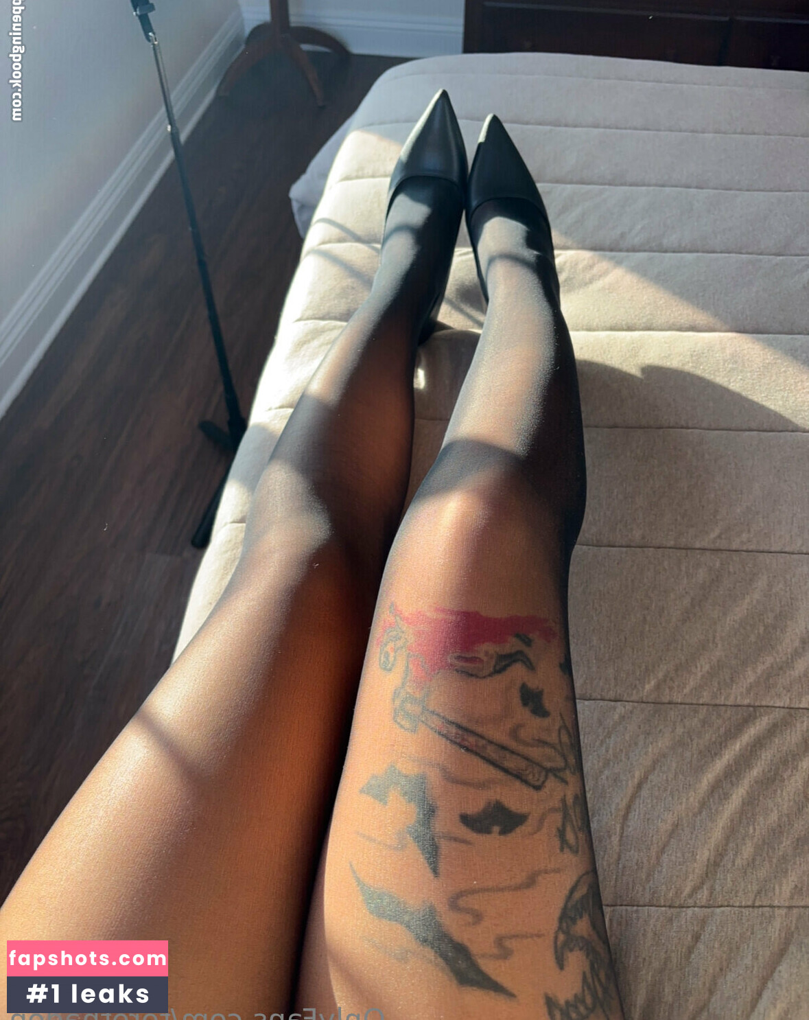 torothadon gallery photo #28