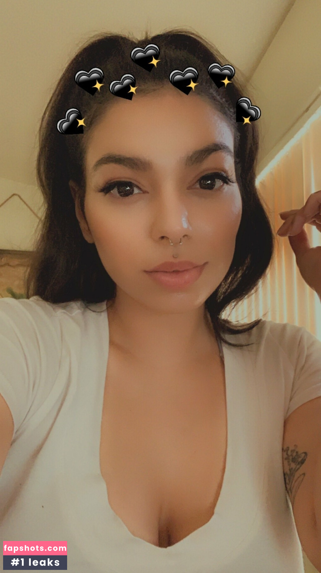 torothadon gallery photo #82