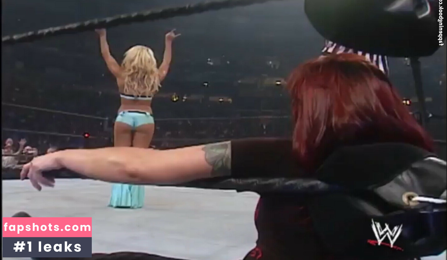 Torrie Wilson gallery photo #199