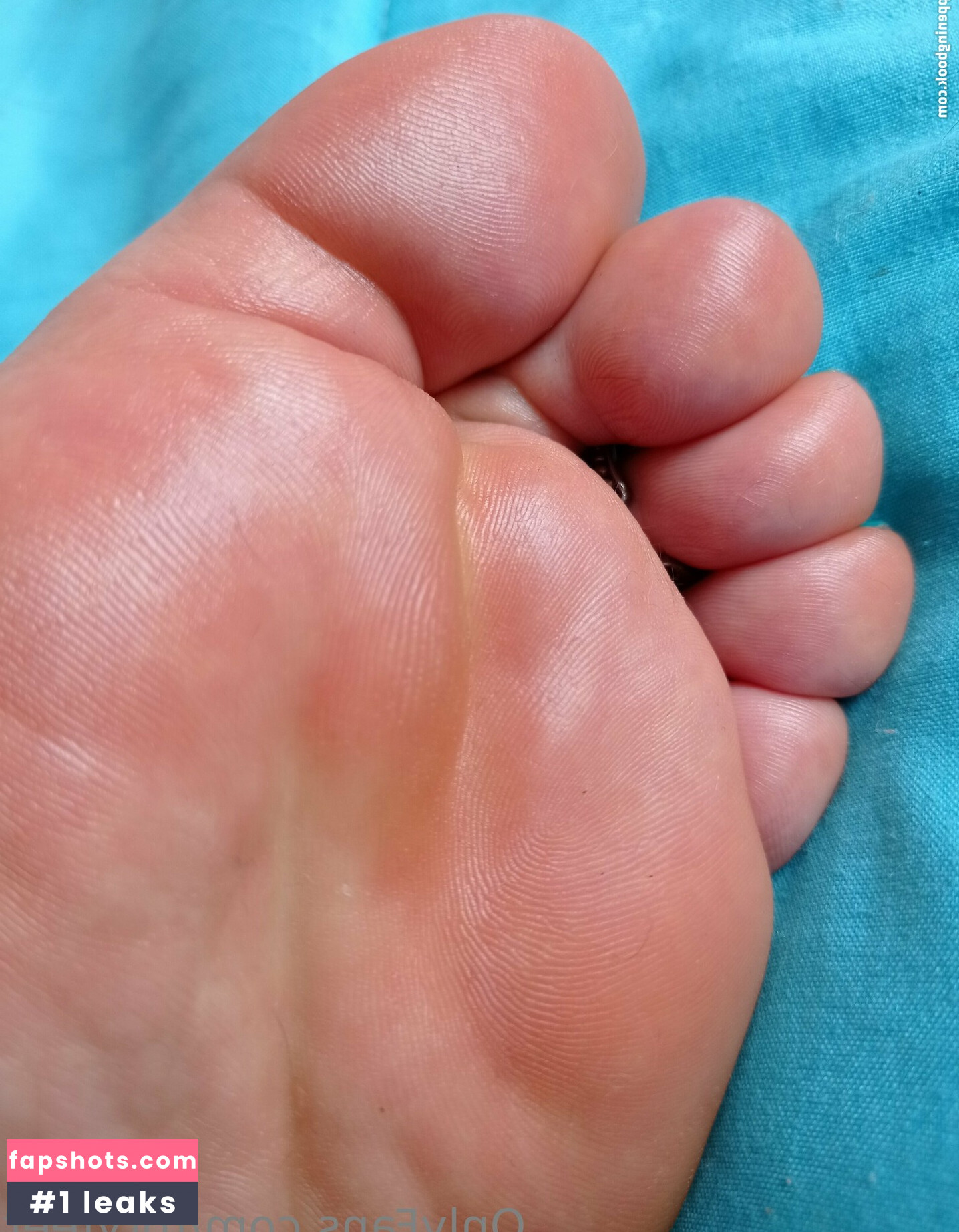 toryfeet gallery photo #13