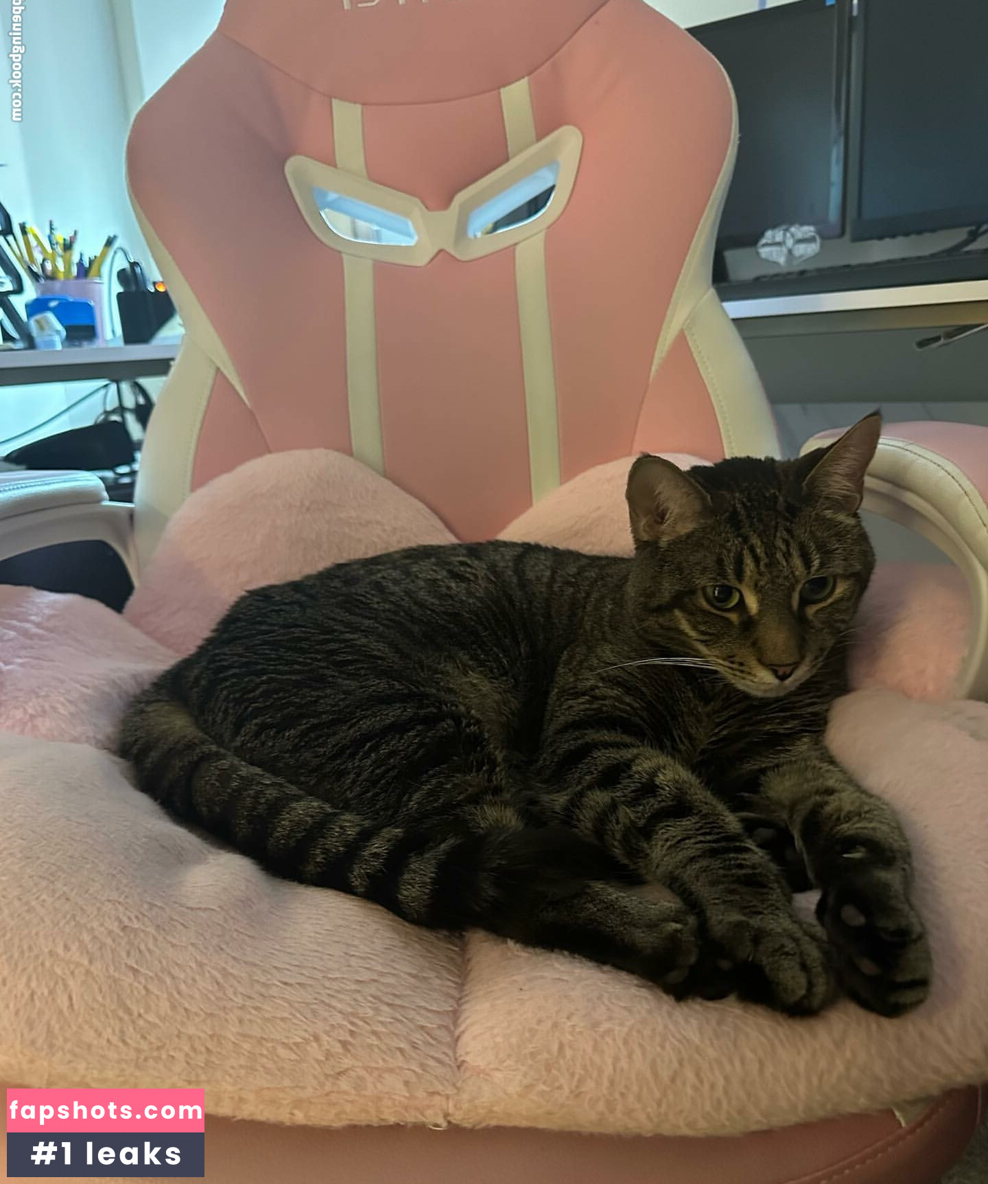 torylovexxx Nude Leaks OnlyFans Photos #24 - LeakJerk