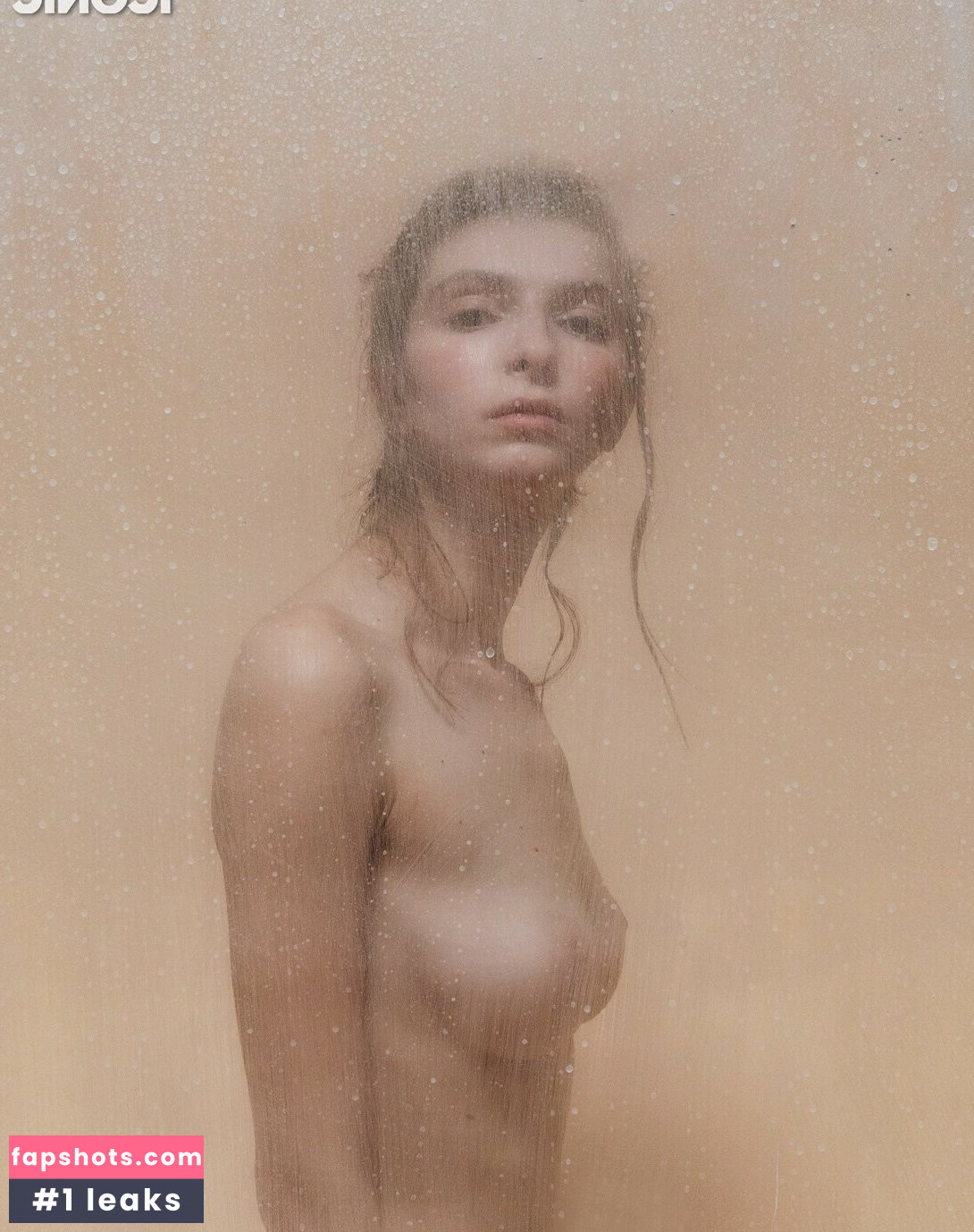 Tosca gallery photo #6