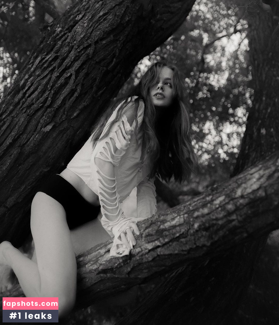 Tovpinets3 gallery photo #2