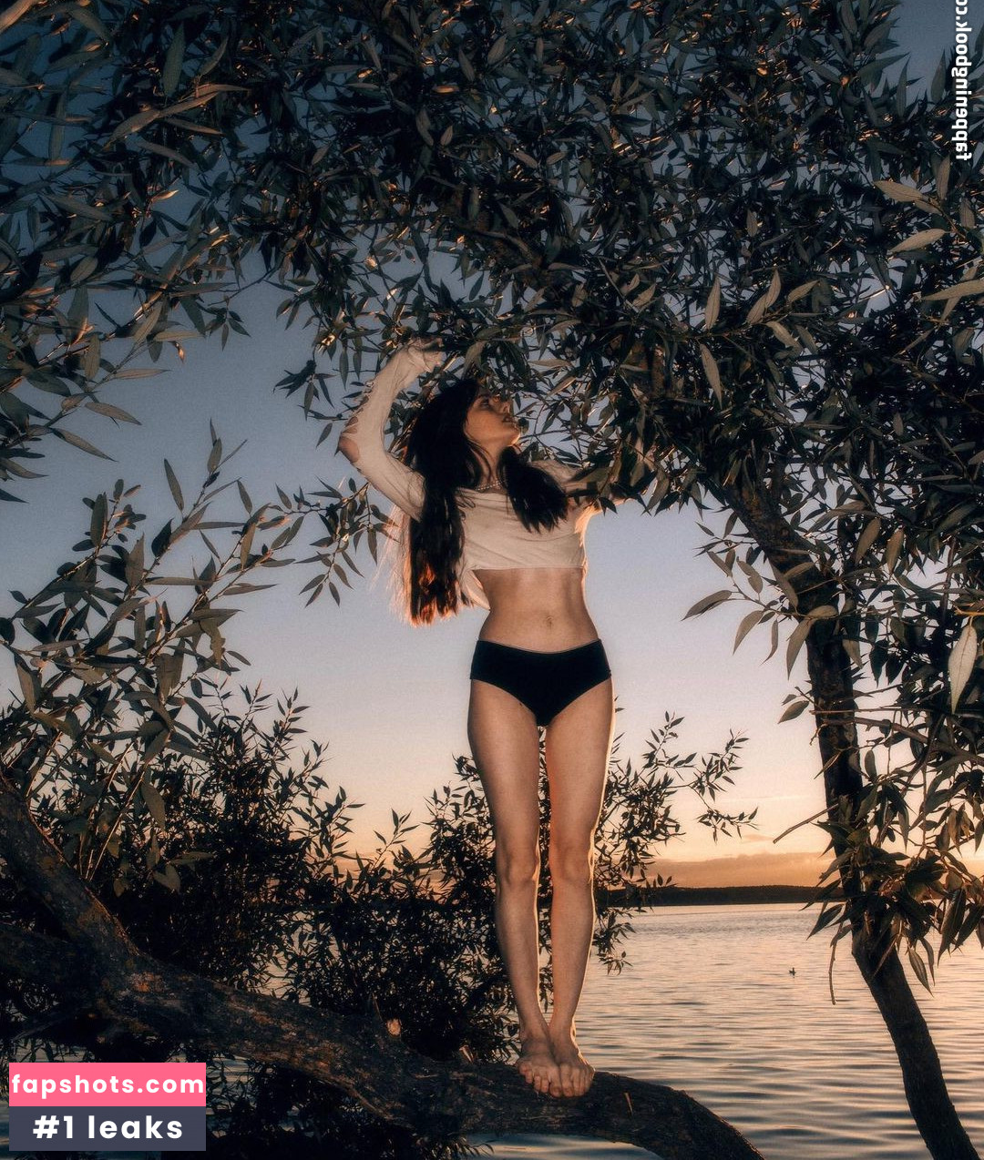 Tovpinets3 gallery photo #9