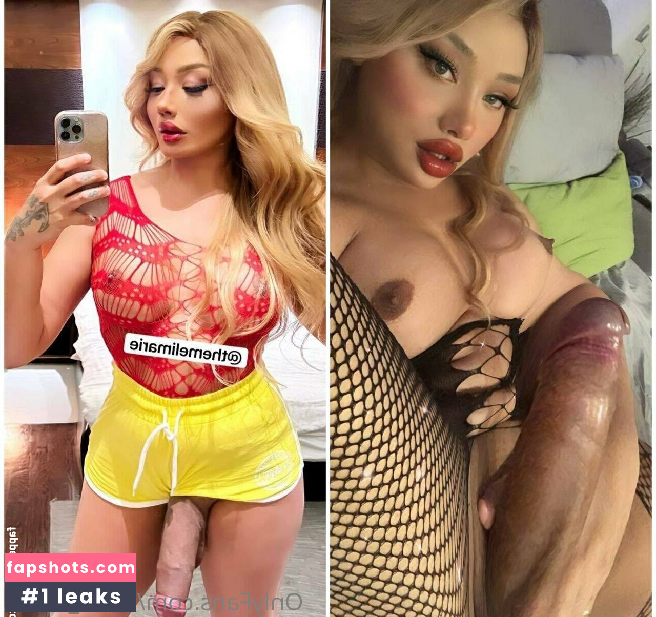 trans_world gallery photo #14