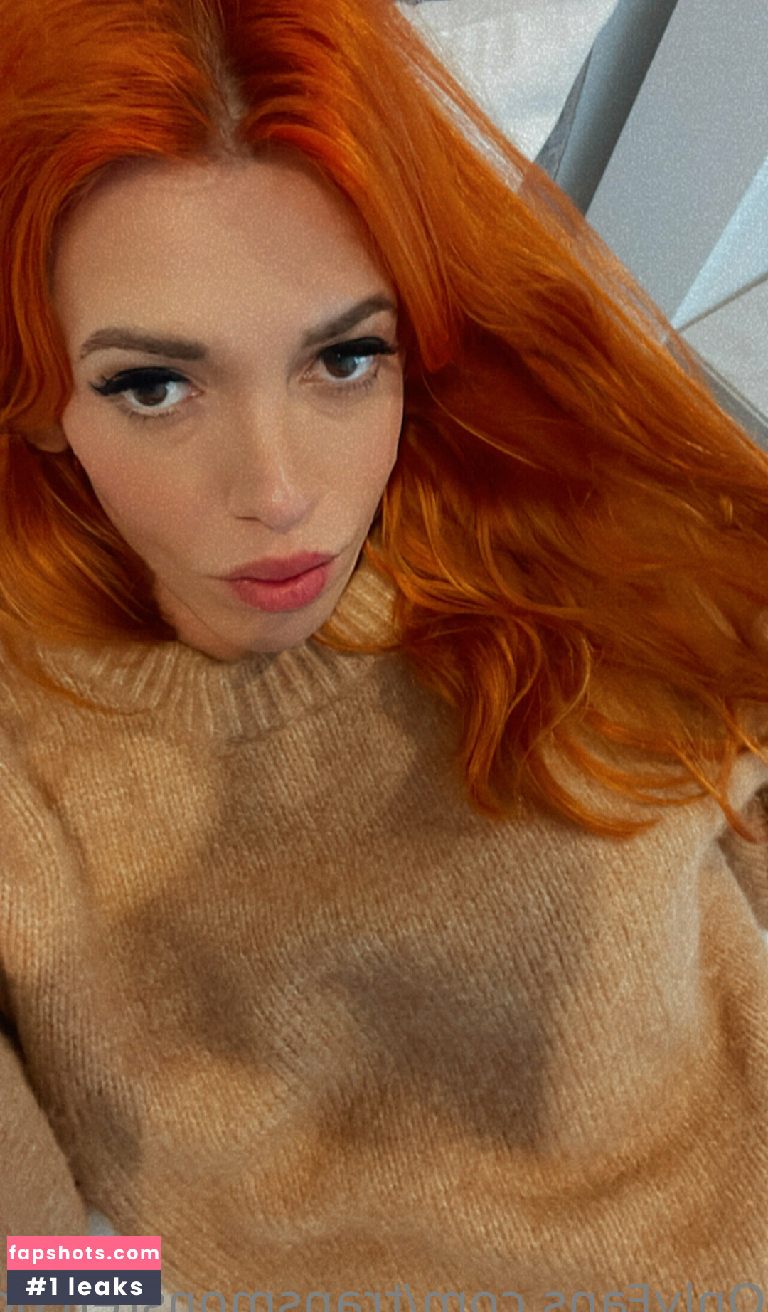 transmonstercock gallery photo #20